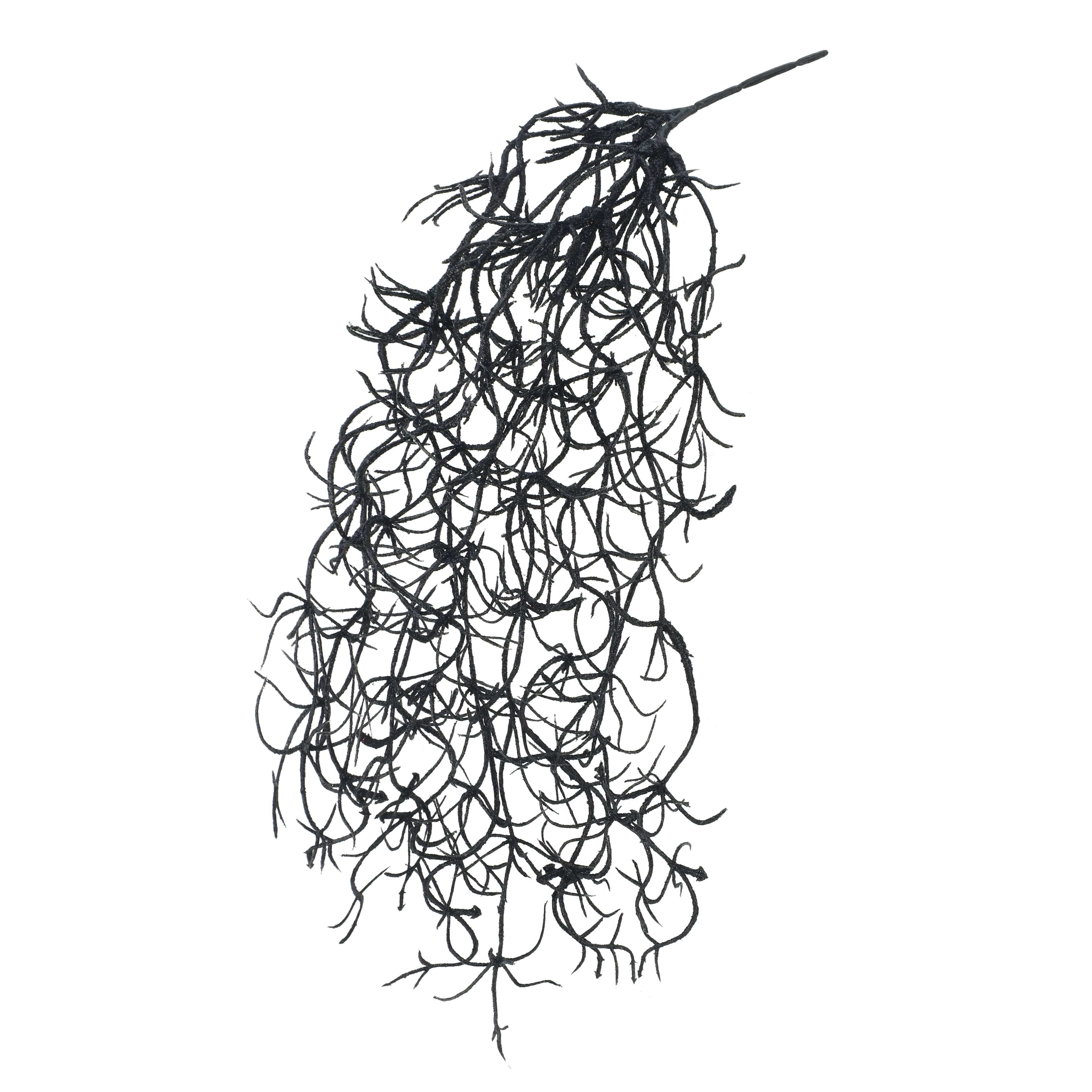 10" Black Hanging Spanish Moss Pick by Ashland®