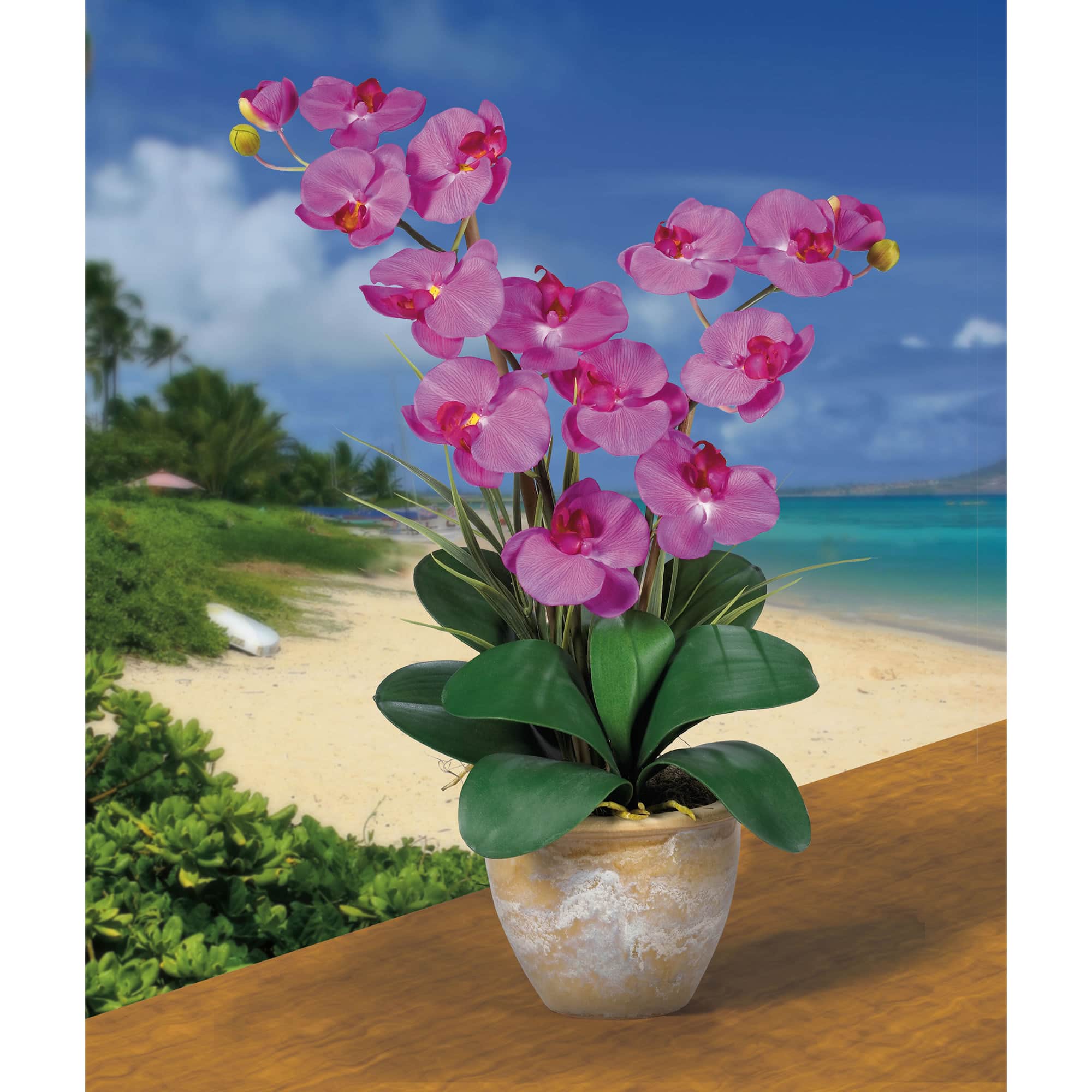 25" Double Phalaenopsis Silk Orchid Flower Arrangement in Ceramic Pot