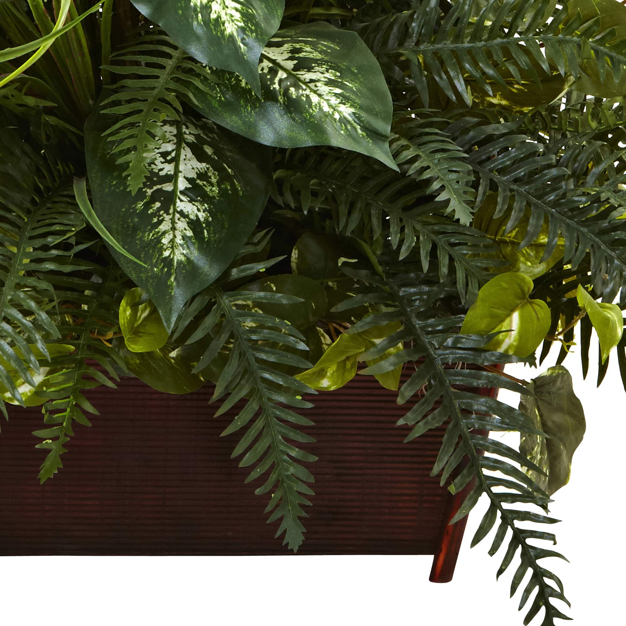 3ft. Mixed Grass & River Fern in Wood Planter