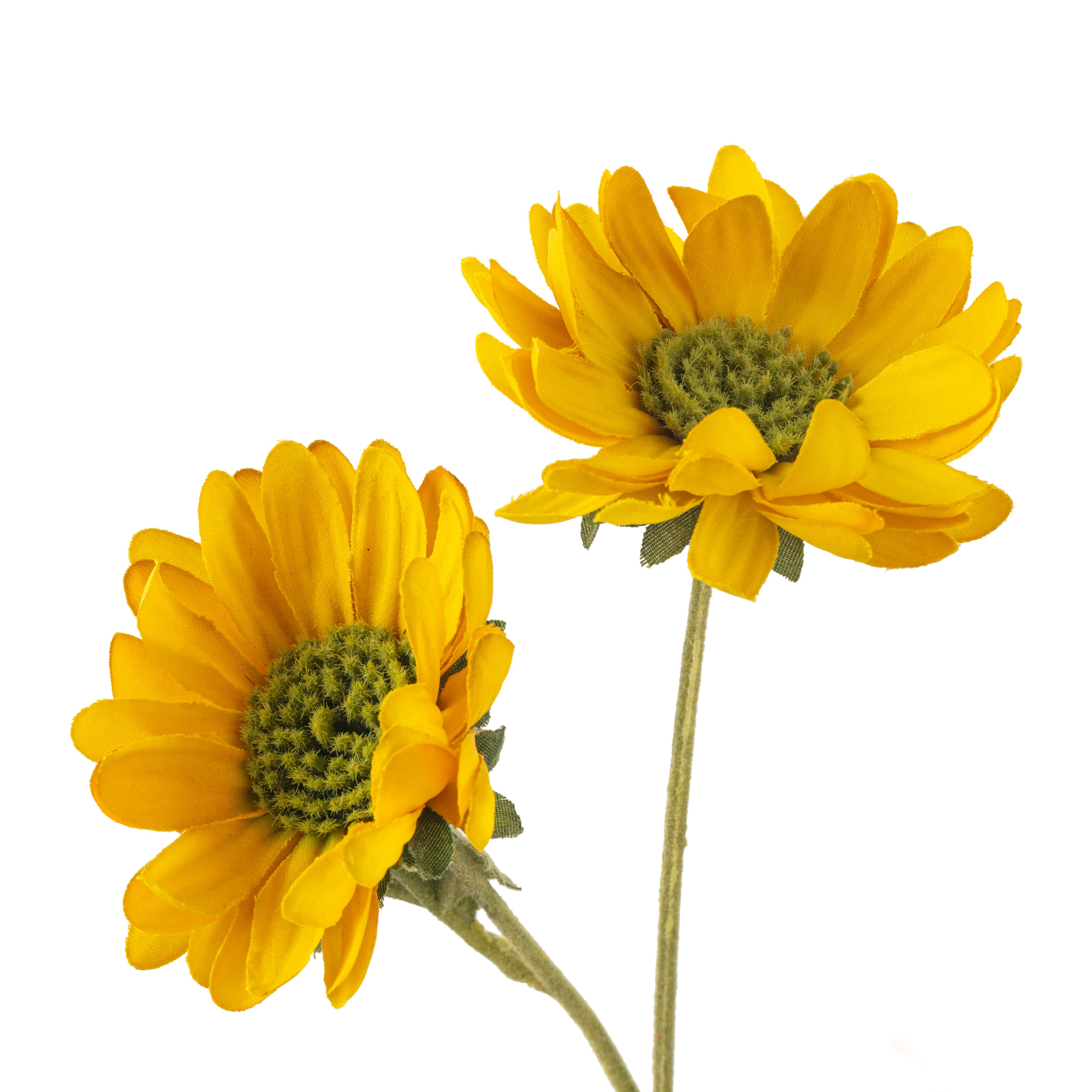 Gold Daisy Mum Spray by Ashland®