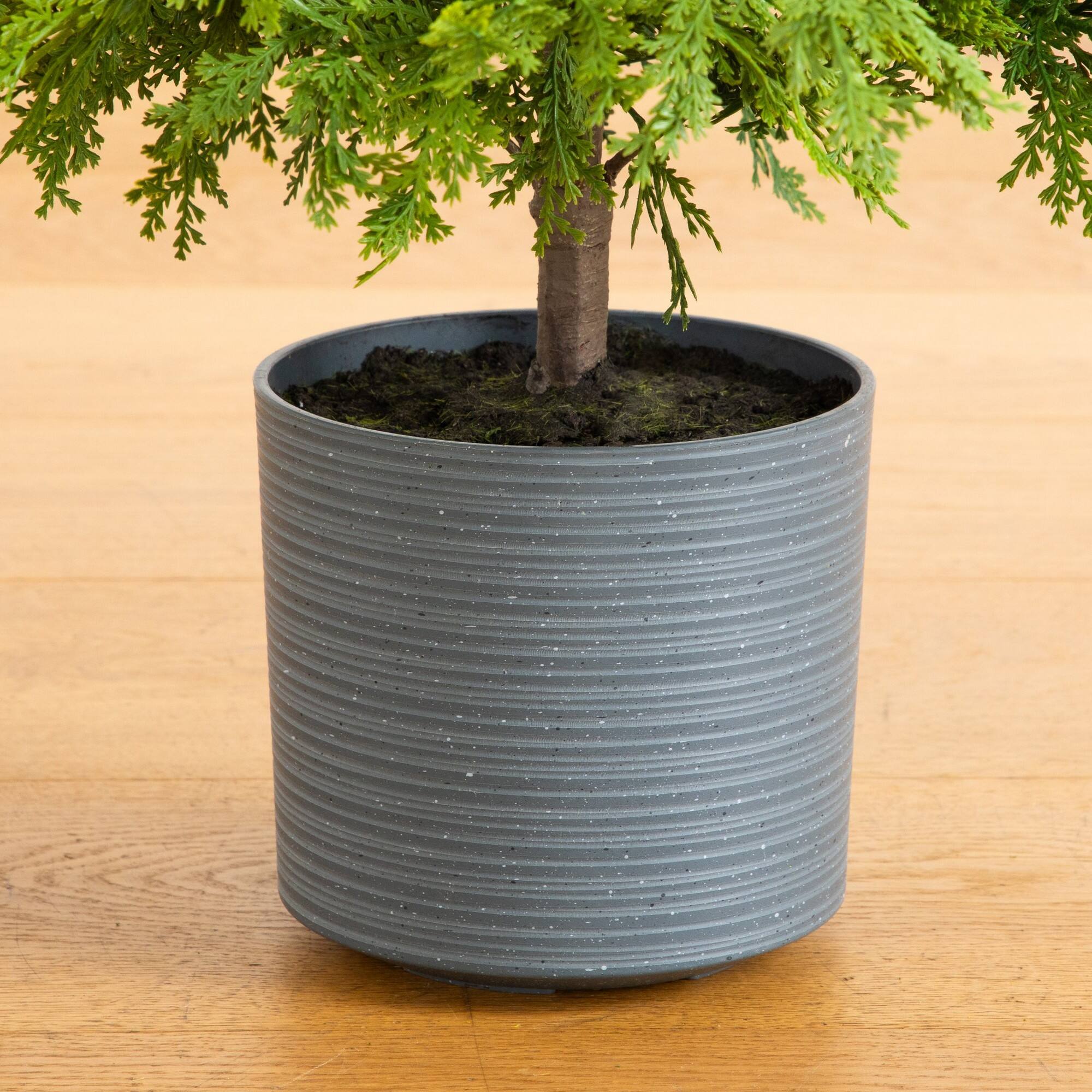 Nearly Natural 3ft. Unlit Real Touch Artificial Cedar Tree in Decorative Gray Planter