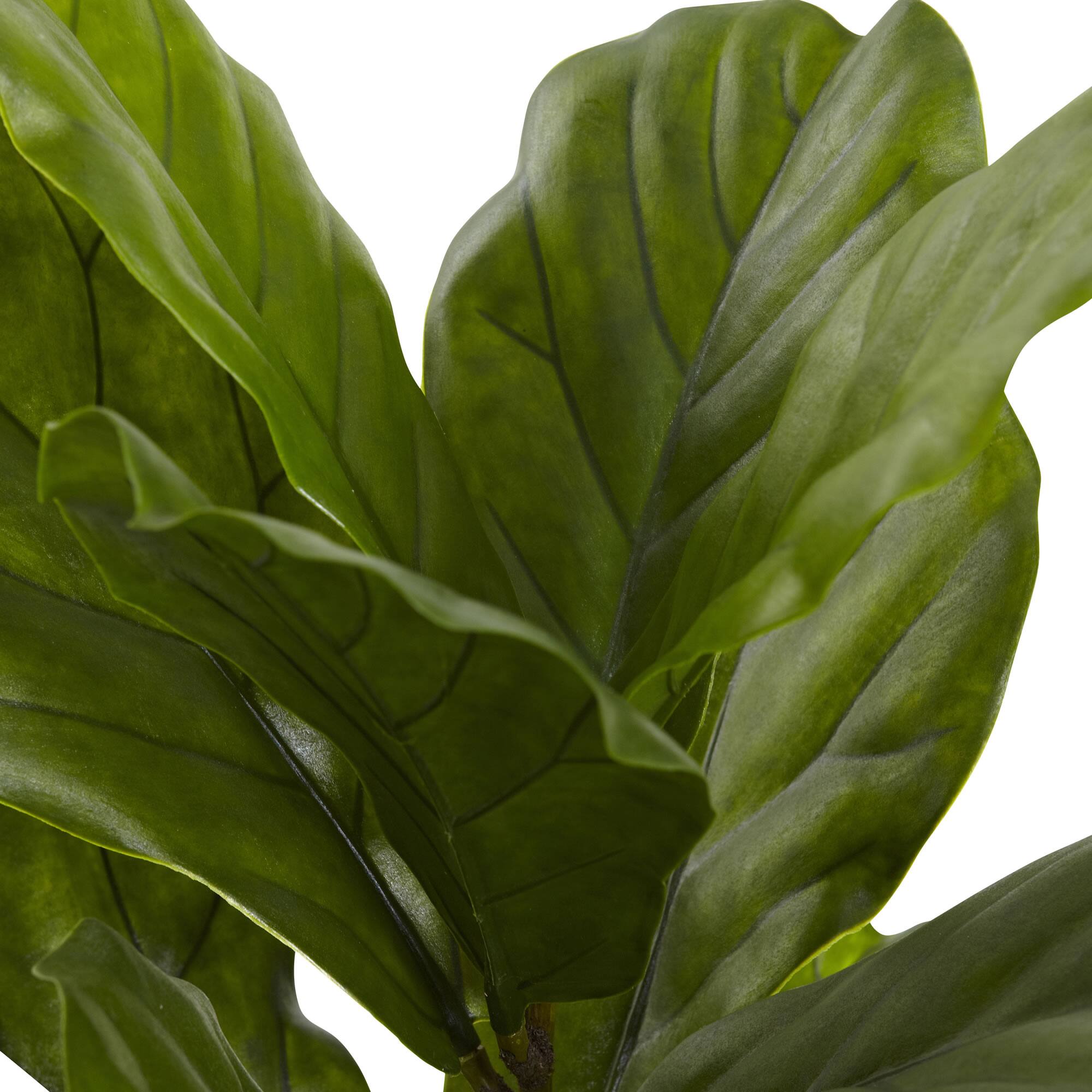 4ft. Potted Fiddle Leaf Tree