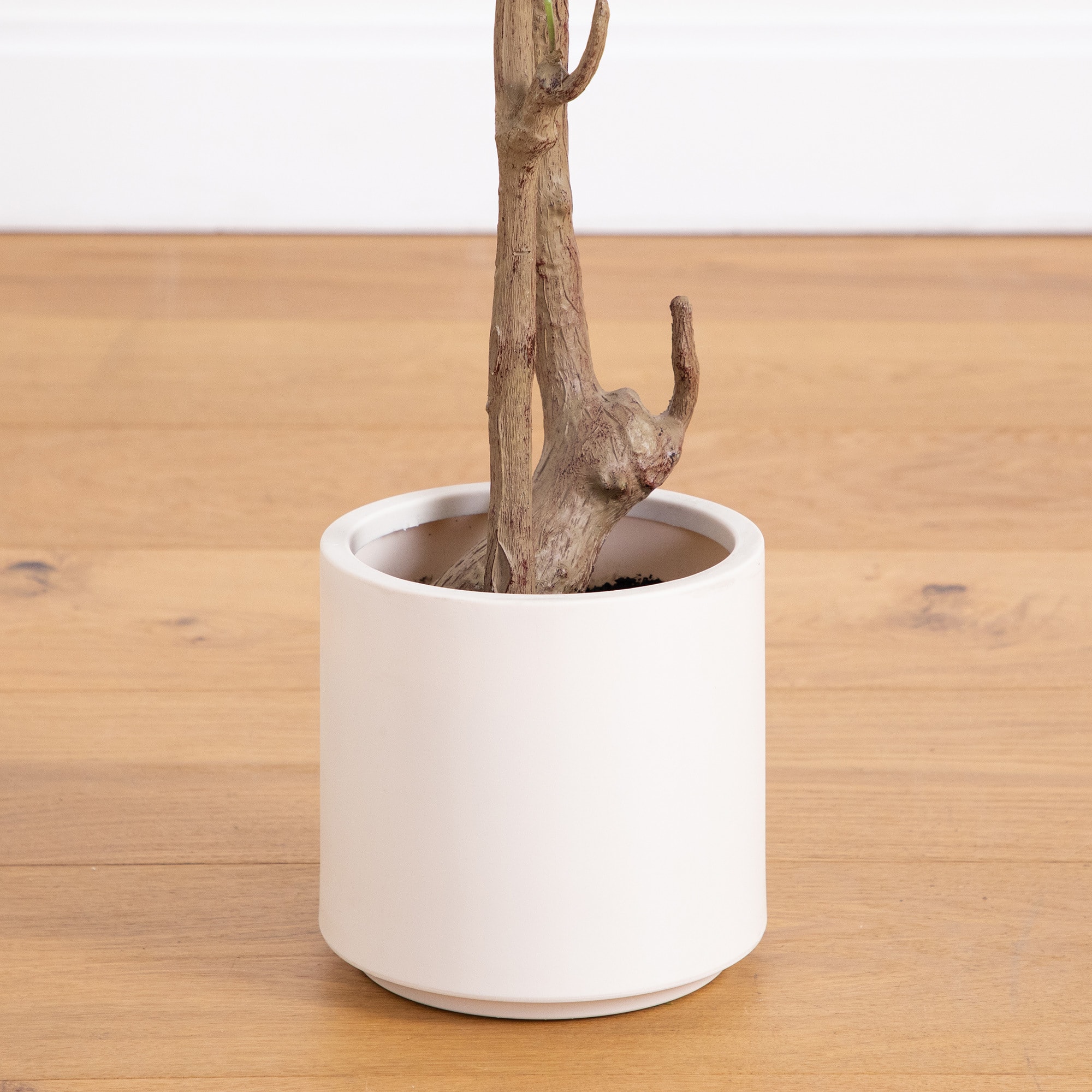 Artificial Minimalist Olive Tree in White Decorative Planter
