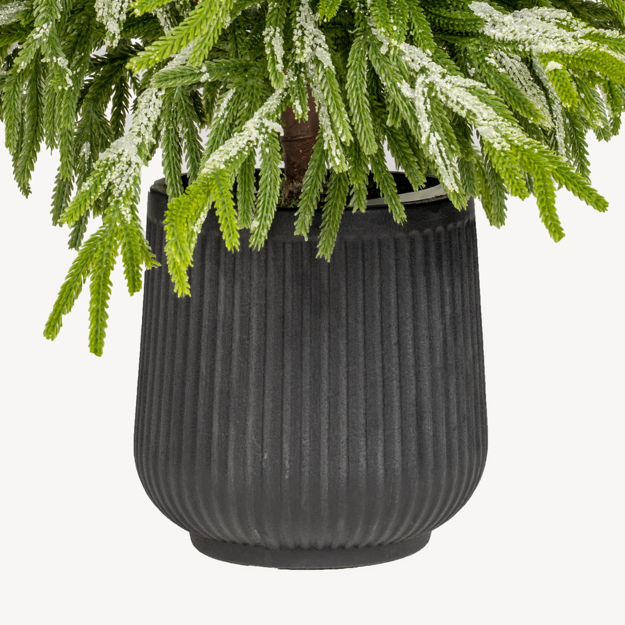 Glitzhome® 3ft. Unlit Frosted Norfolk Pine with Pinecones Artificial Christmas Porch Tree