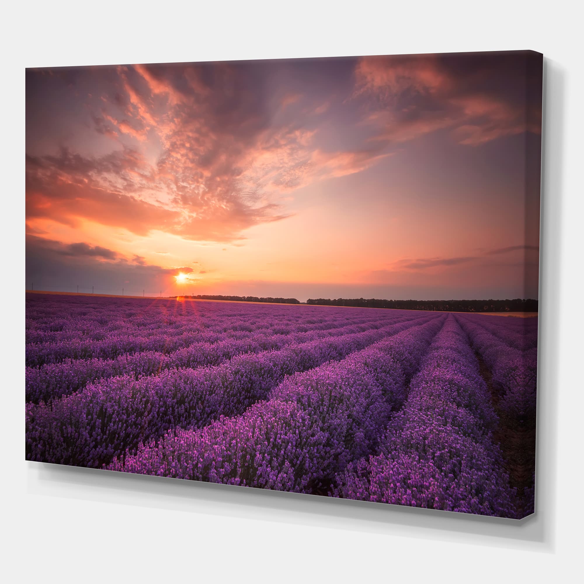 Designart - Sunrise & Dramatic Clouds Over Lavender Field XII - Farmhouse Canvas Wall Art Print