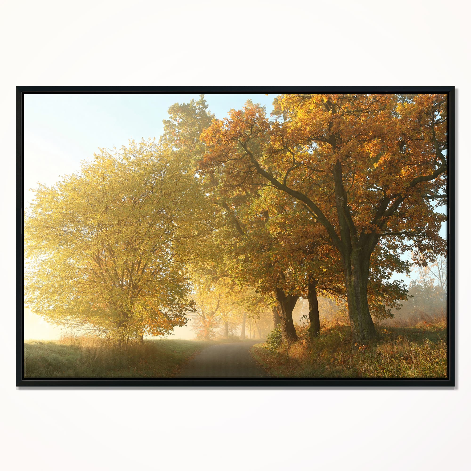 Designart - Rural Road Under Green Trees - Landscape Photography Canvas Print in Black Frame