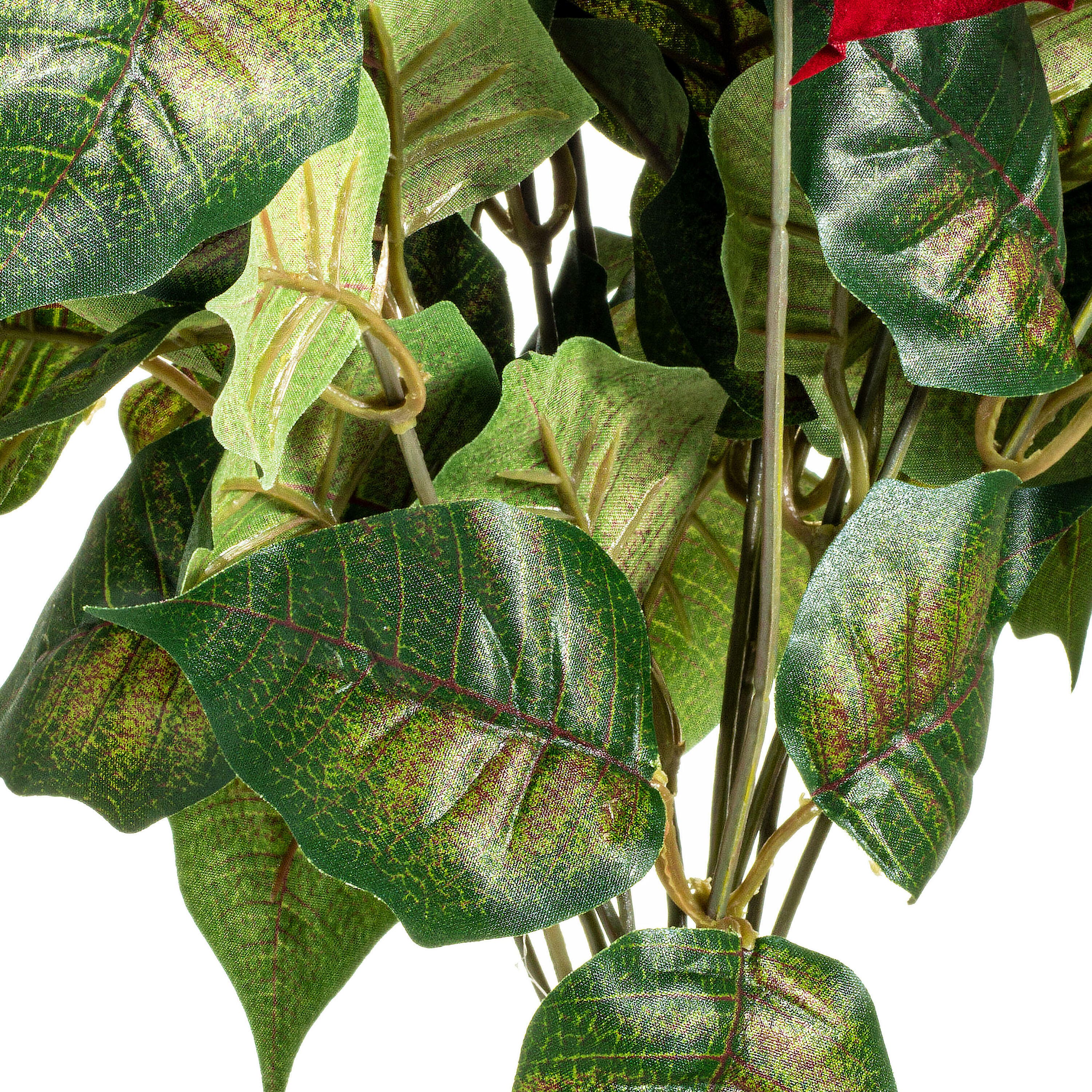 18" Red Poinsettia and Leaf Bush