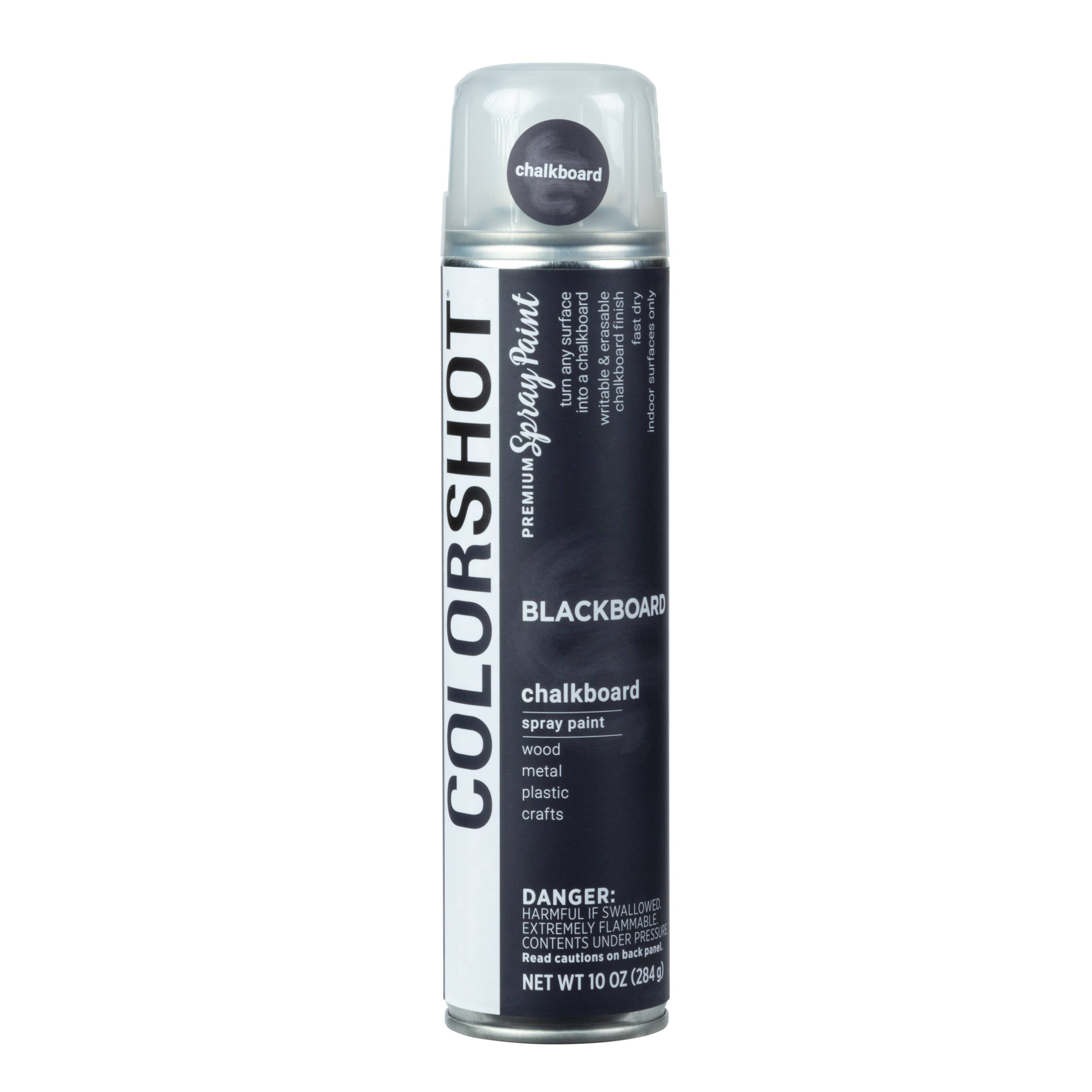 COLORSHOT® 10oz. Black Chalkboard Spray Paint