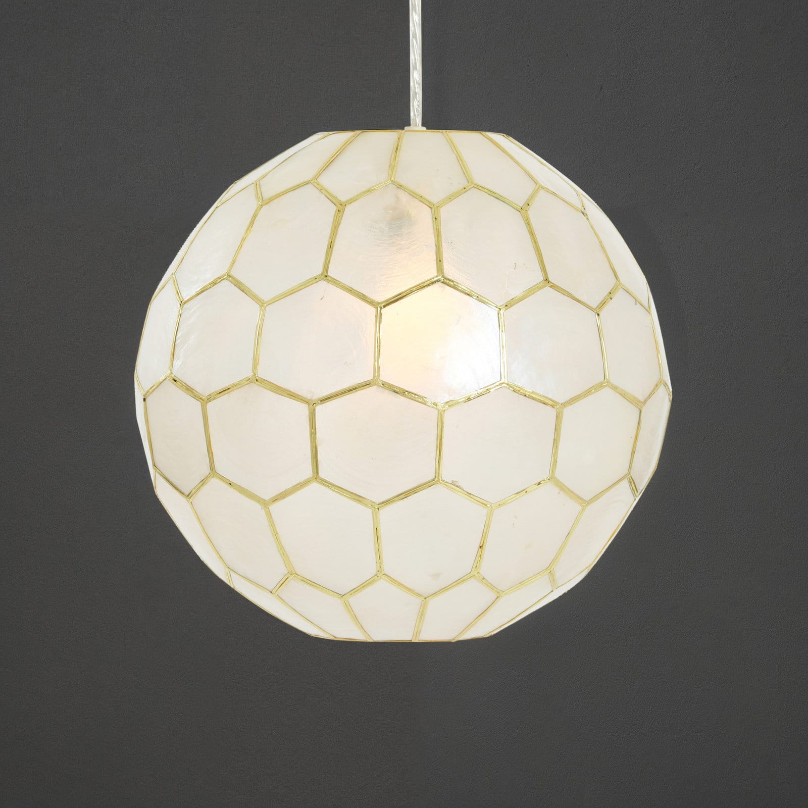 Hello Honey® Capiz Honeycomb Globe Pendant Light