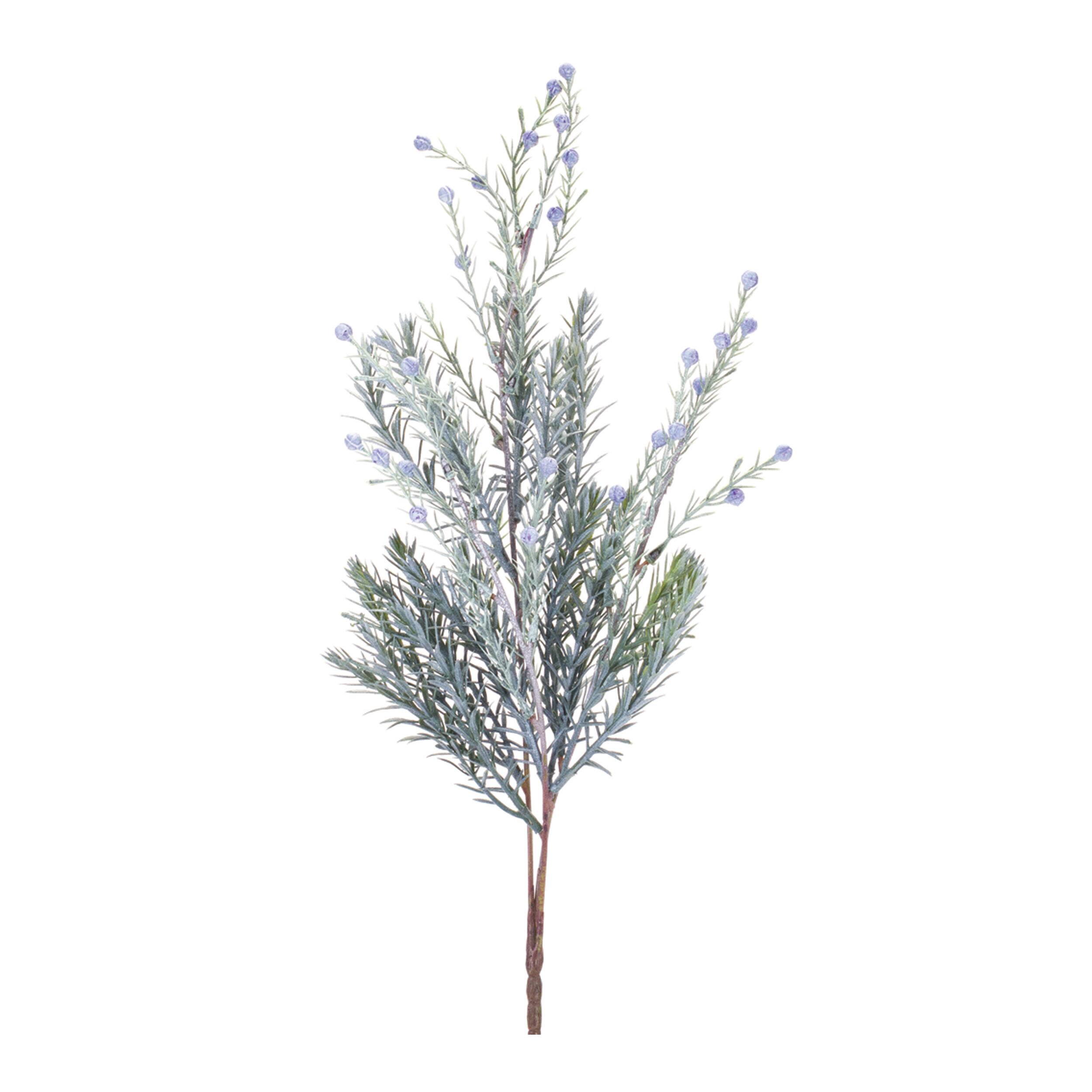 Green & Blue Pine Sprays, 6ct.