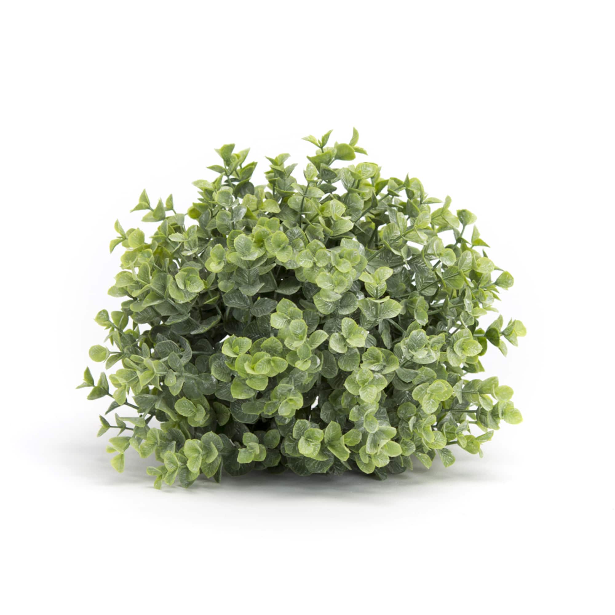 7" Green Boxwood Half Orb, 6ct.