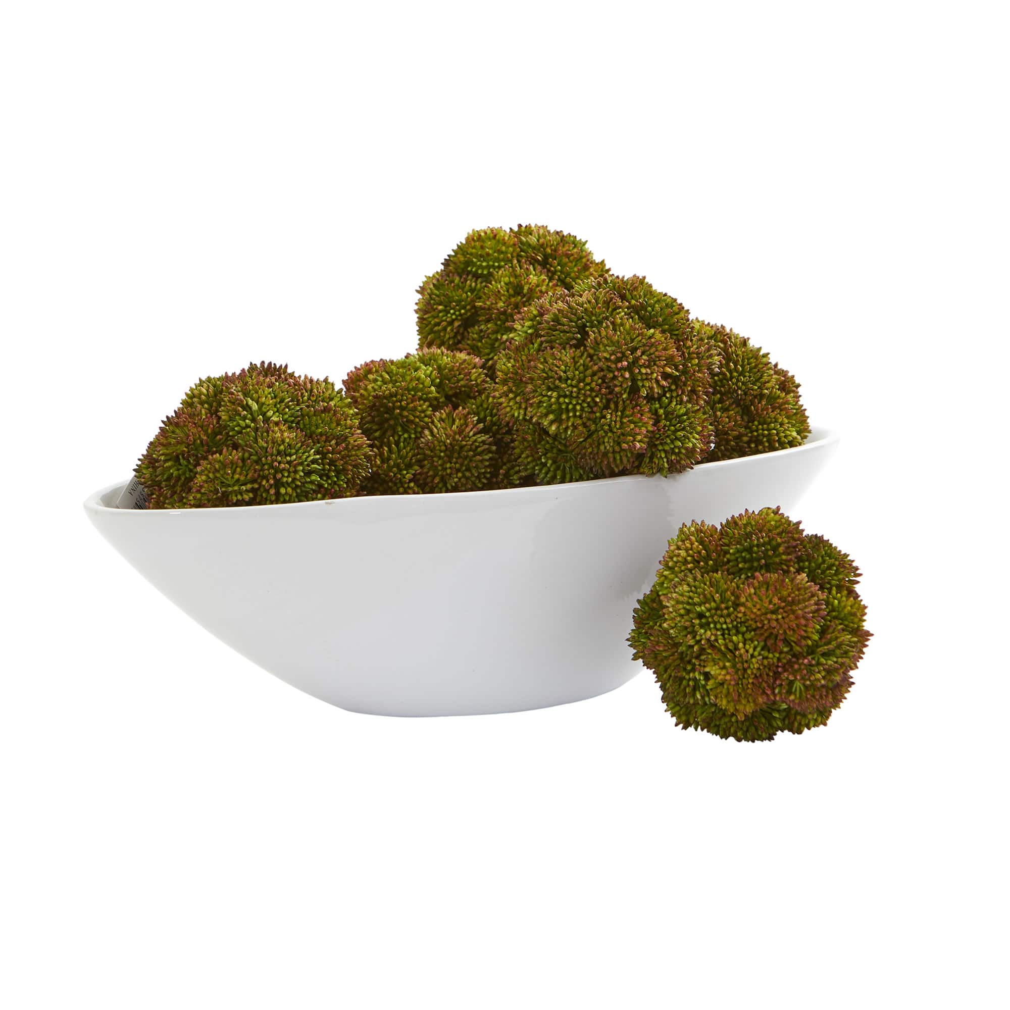 Green Sedum Succulent Spheres, 6ct.