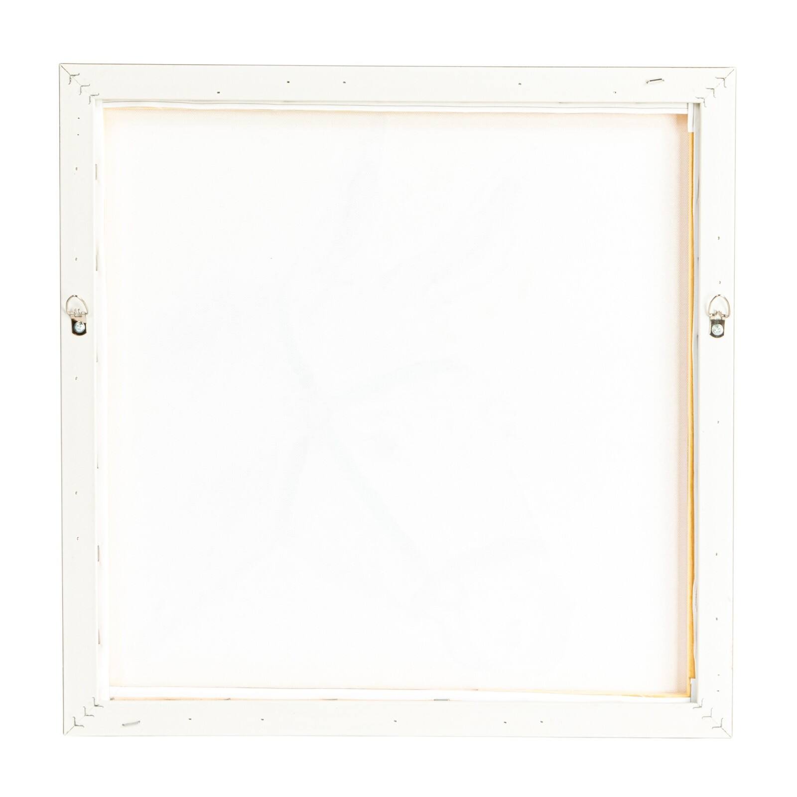 Hello Honey® 18" x 18" Donkey Wall Art
