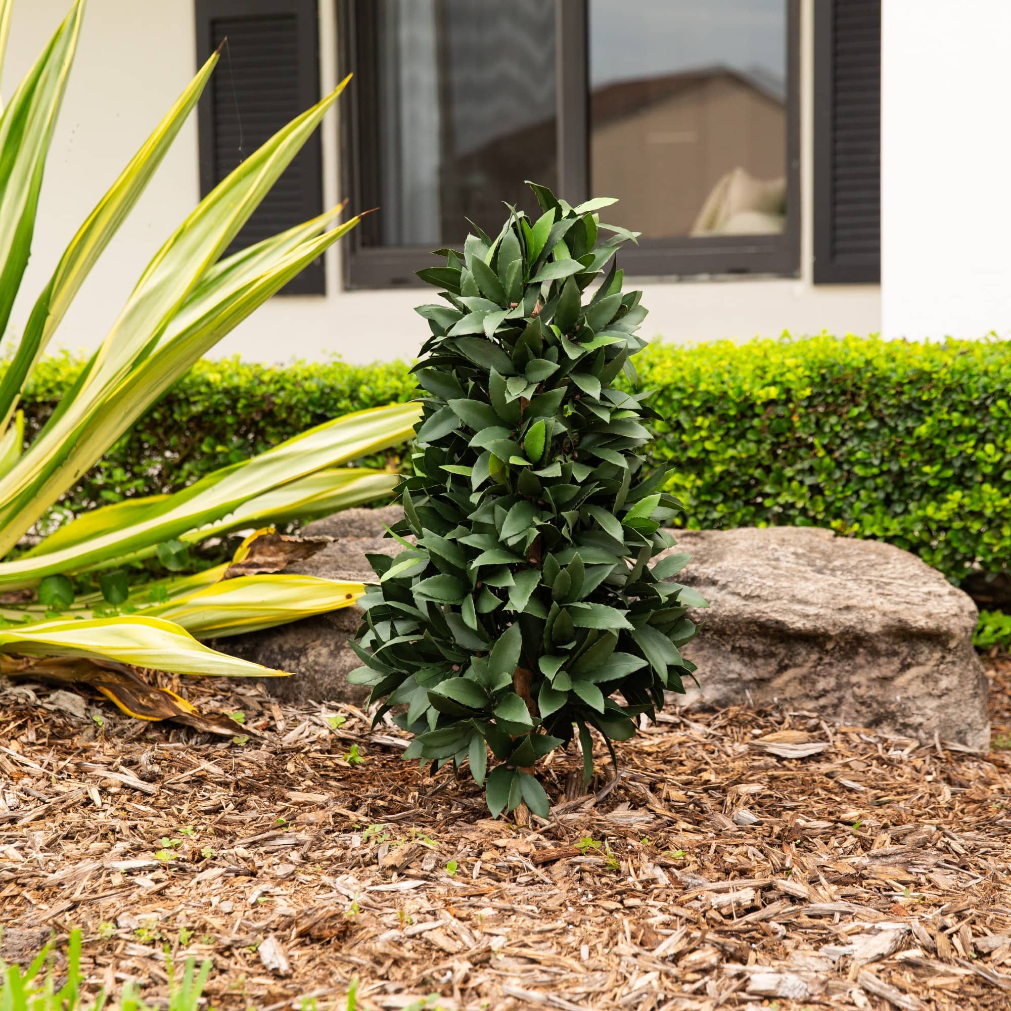 3ft. UV Resistant Artificial Laurel Plant with Integrated Ground Stake (Indoor/Outdoor)