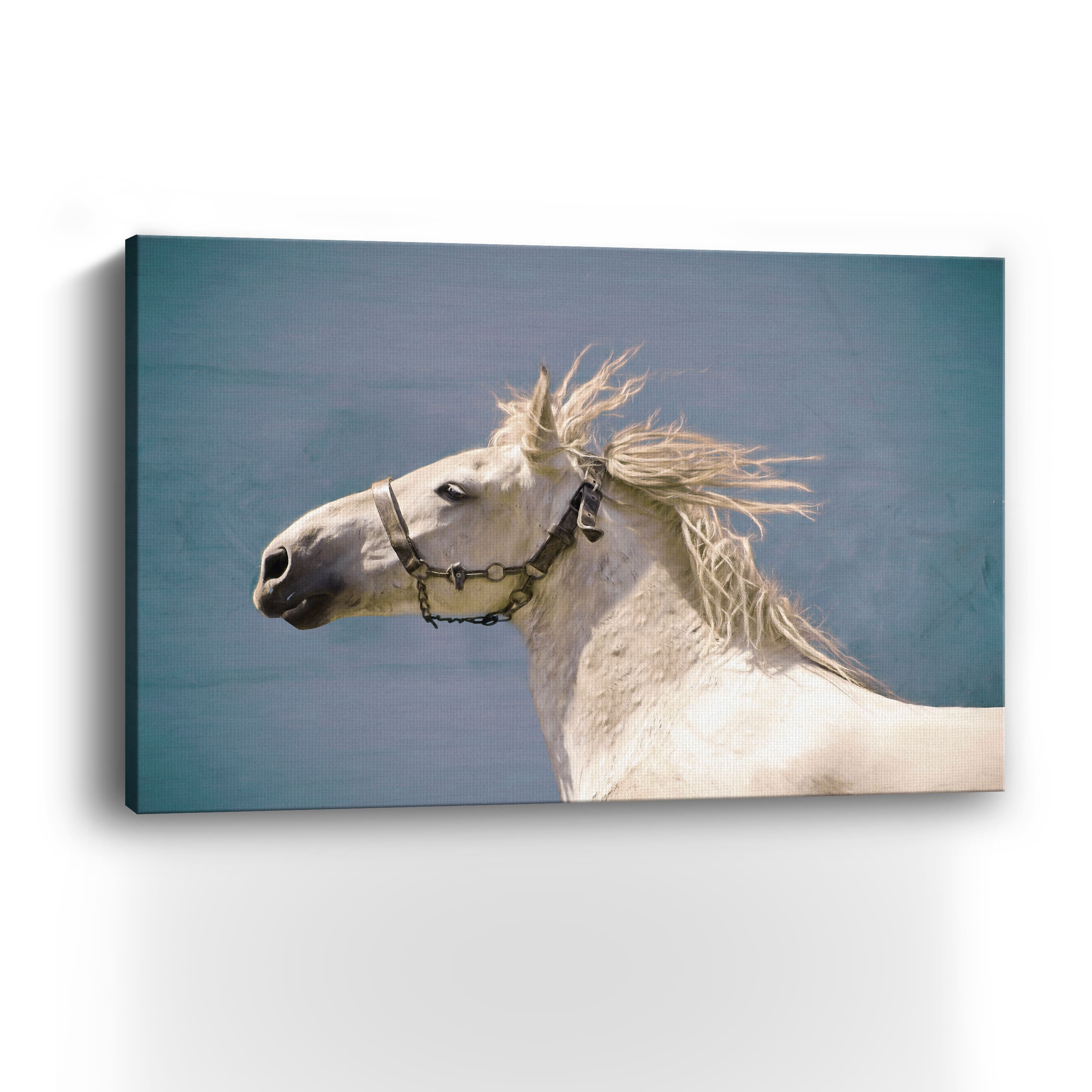 Scratch Canvas Giclee