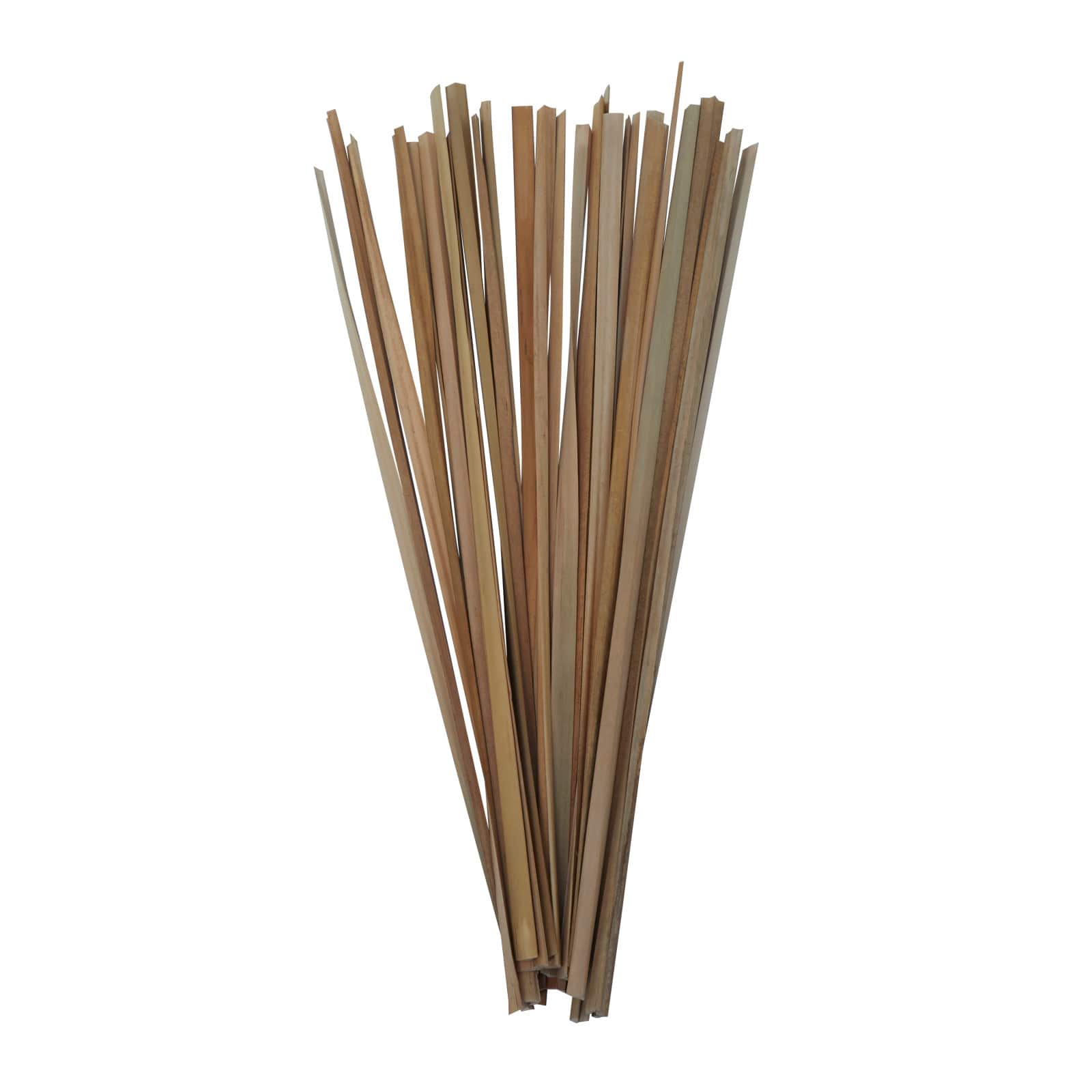 3.5ft. Natural Light Brown Dried Plant Foliage with Slender Stems