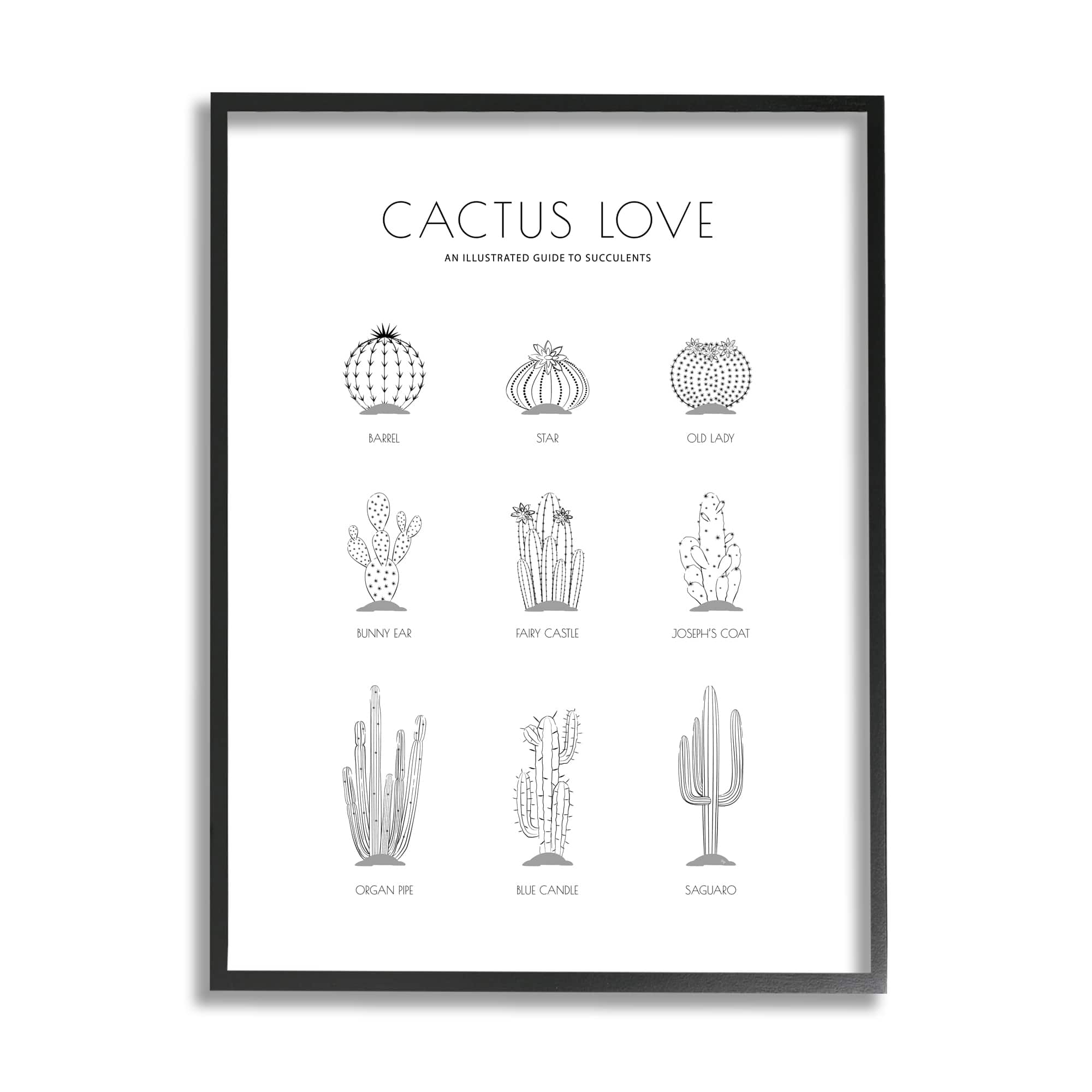 Stupell Industries Illustrated Guide to Succulents Minimal Modern Cactus Plant in Frame Wall Art