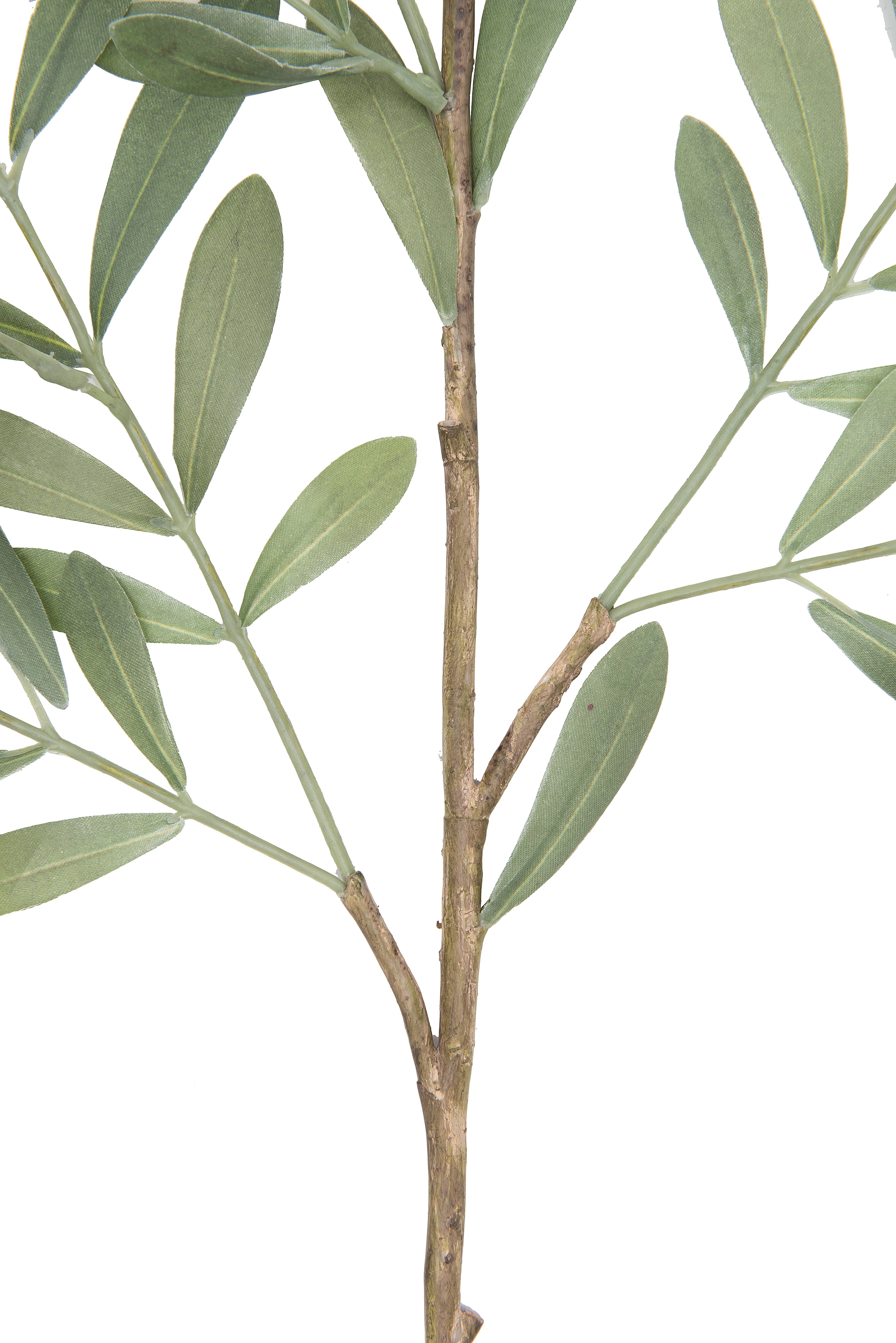 Hello Honey® 36" Faux Olive Branch