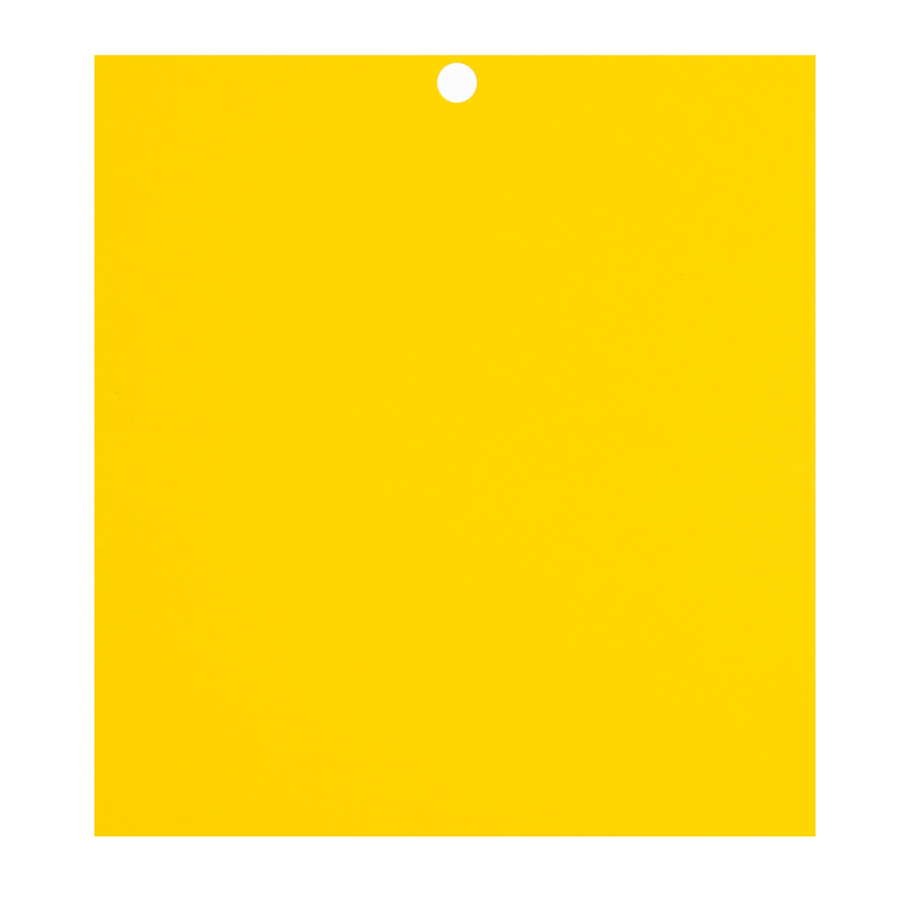 12 Packs: 100 ct. (1,200 total) Citrus 6" x 6.5" Cardstock Paper by Recollections™