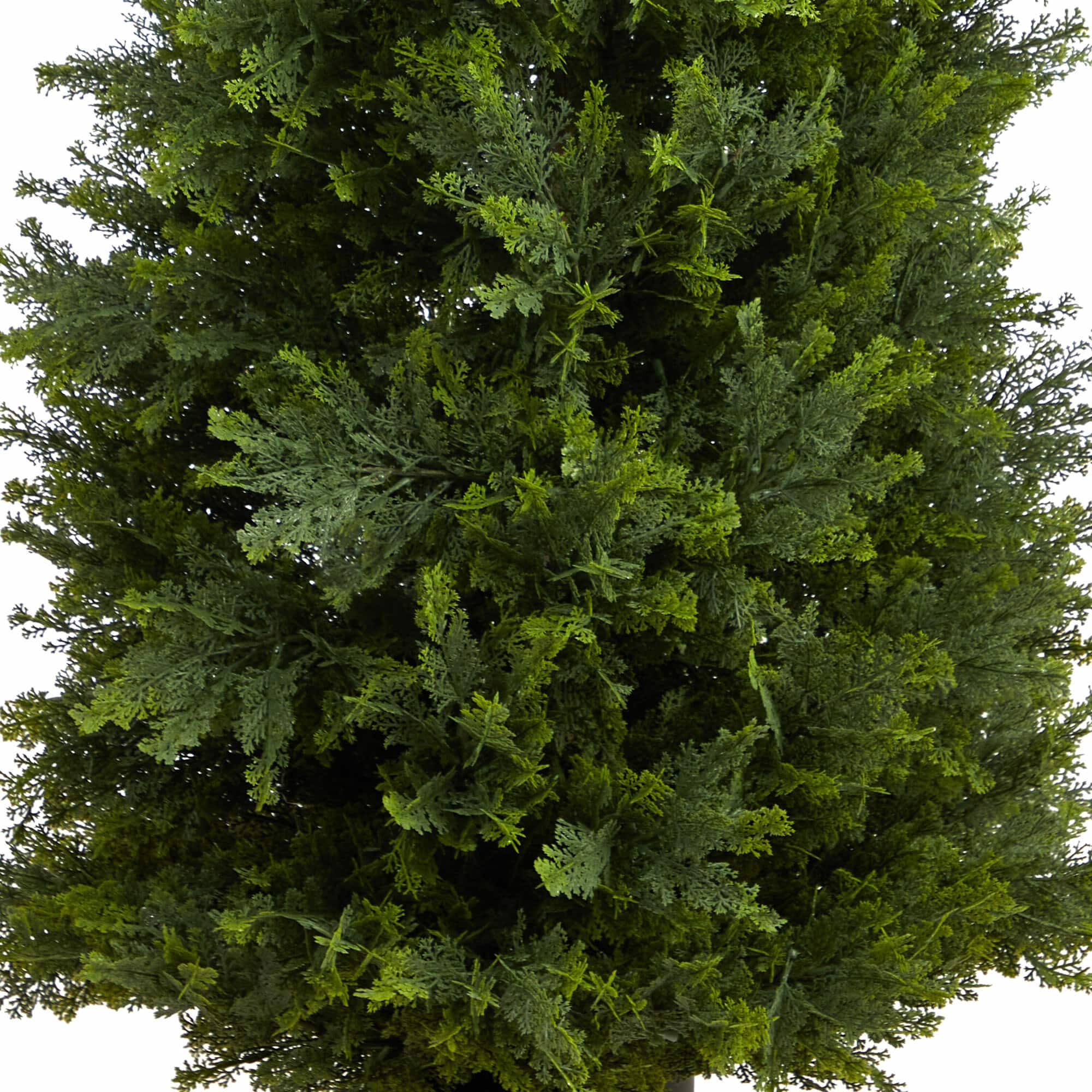 5.5ft. Potted Cypress Cone Topiary Tree