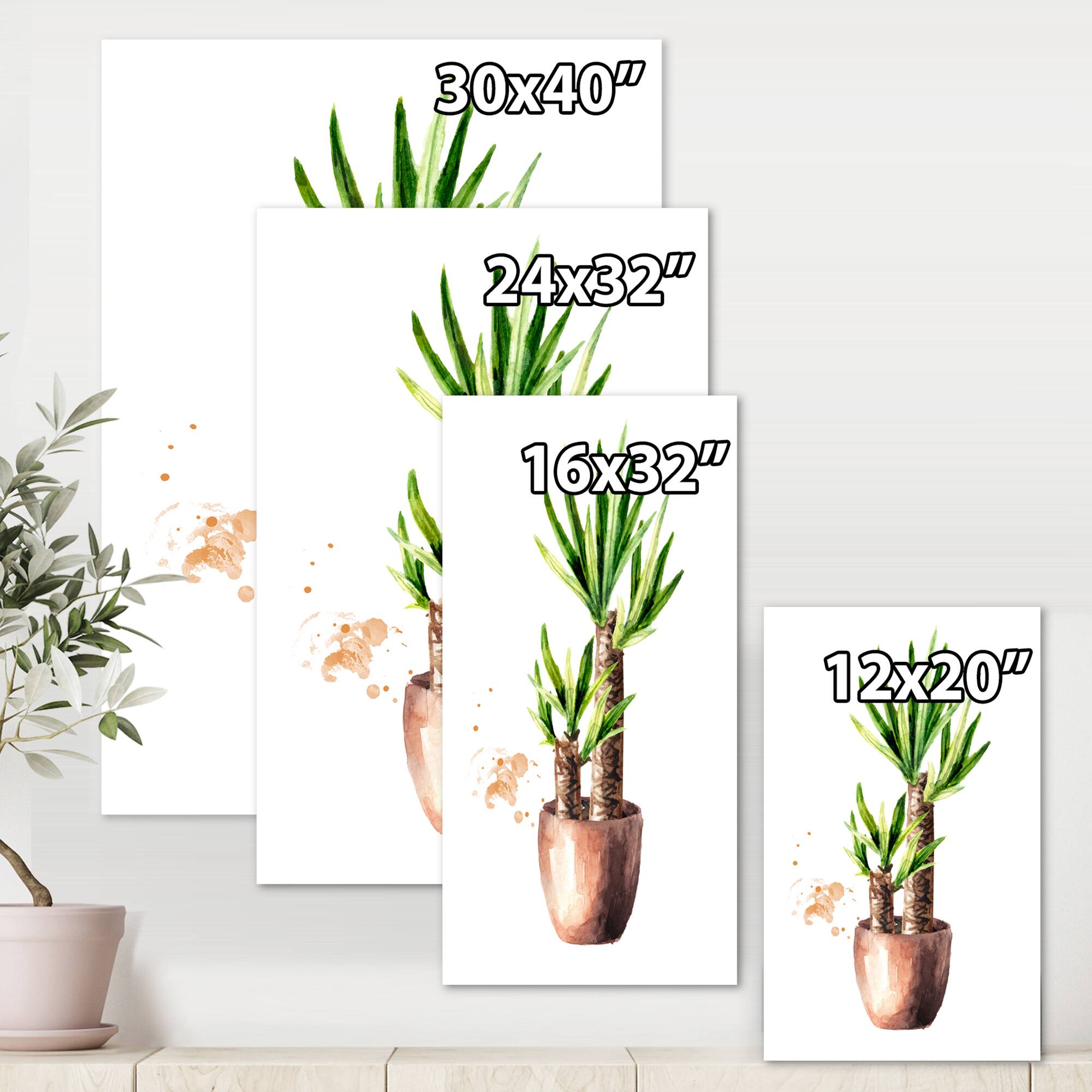 Designart - Yucca Tree In The Ceramic Flower Pot - Traditional Canvas Wall Art Print