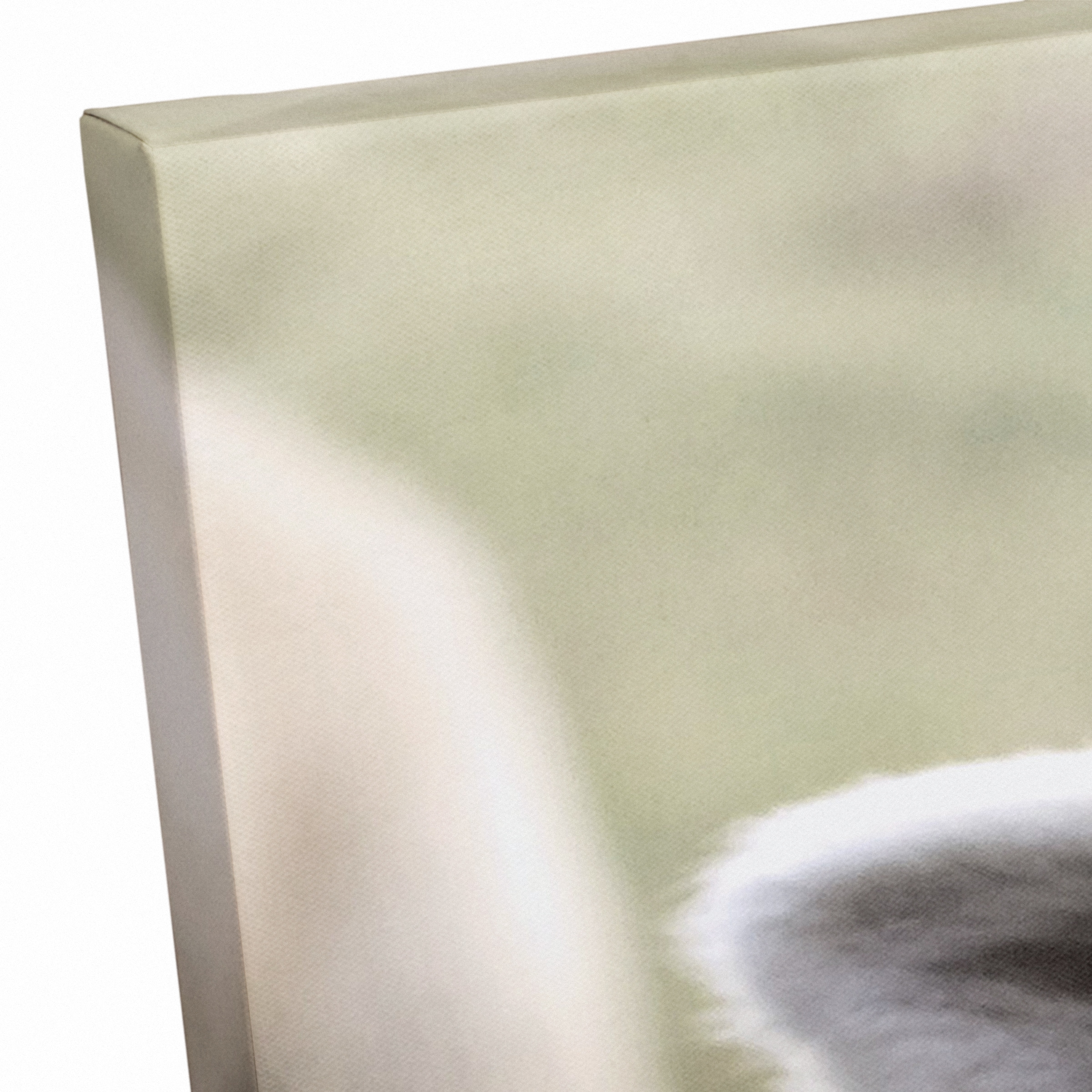 Curious Sheep 24" x 24" Canvas Wall Art