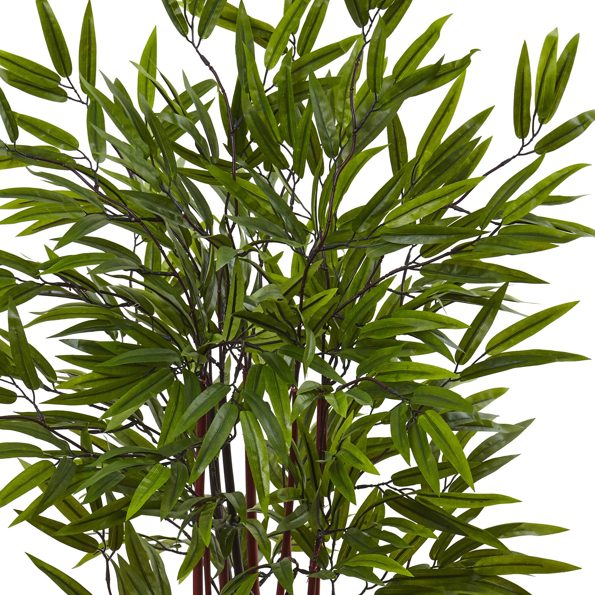 4ft. Potted Bamboo Silk Tree