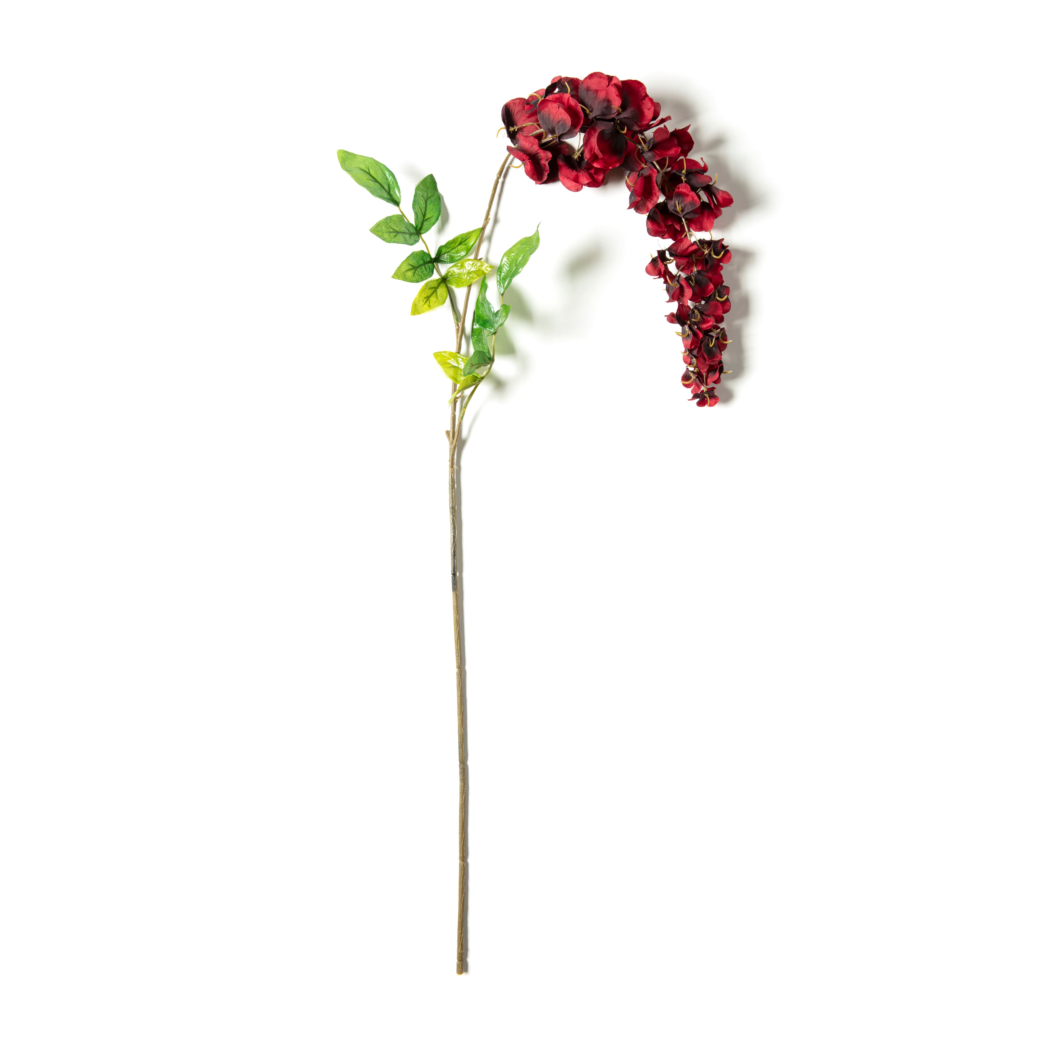 12 Pack: Burgundy Wisteria Stem by Ashland®