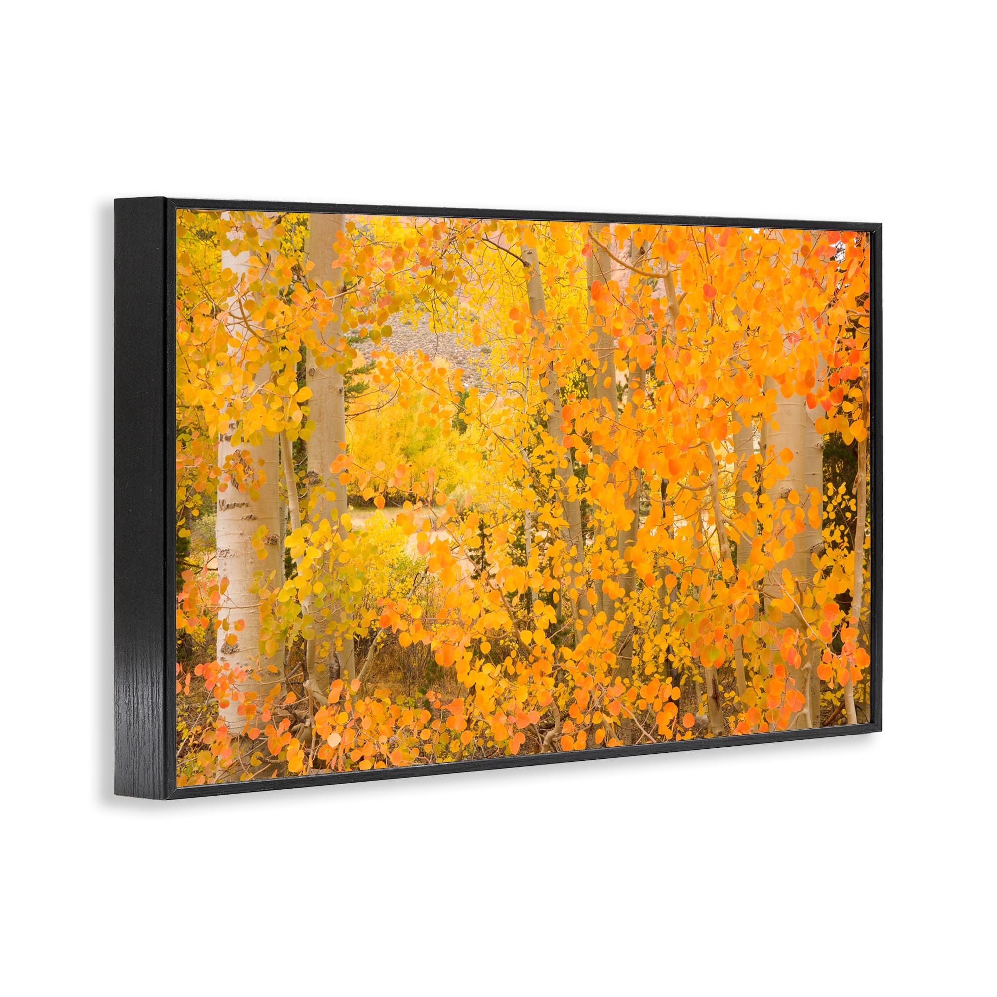 Stupell Industries Dense Birch Foliage Framed Giclee Art