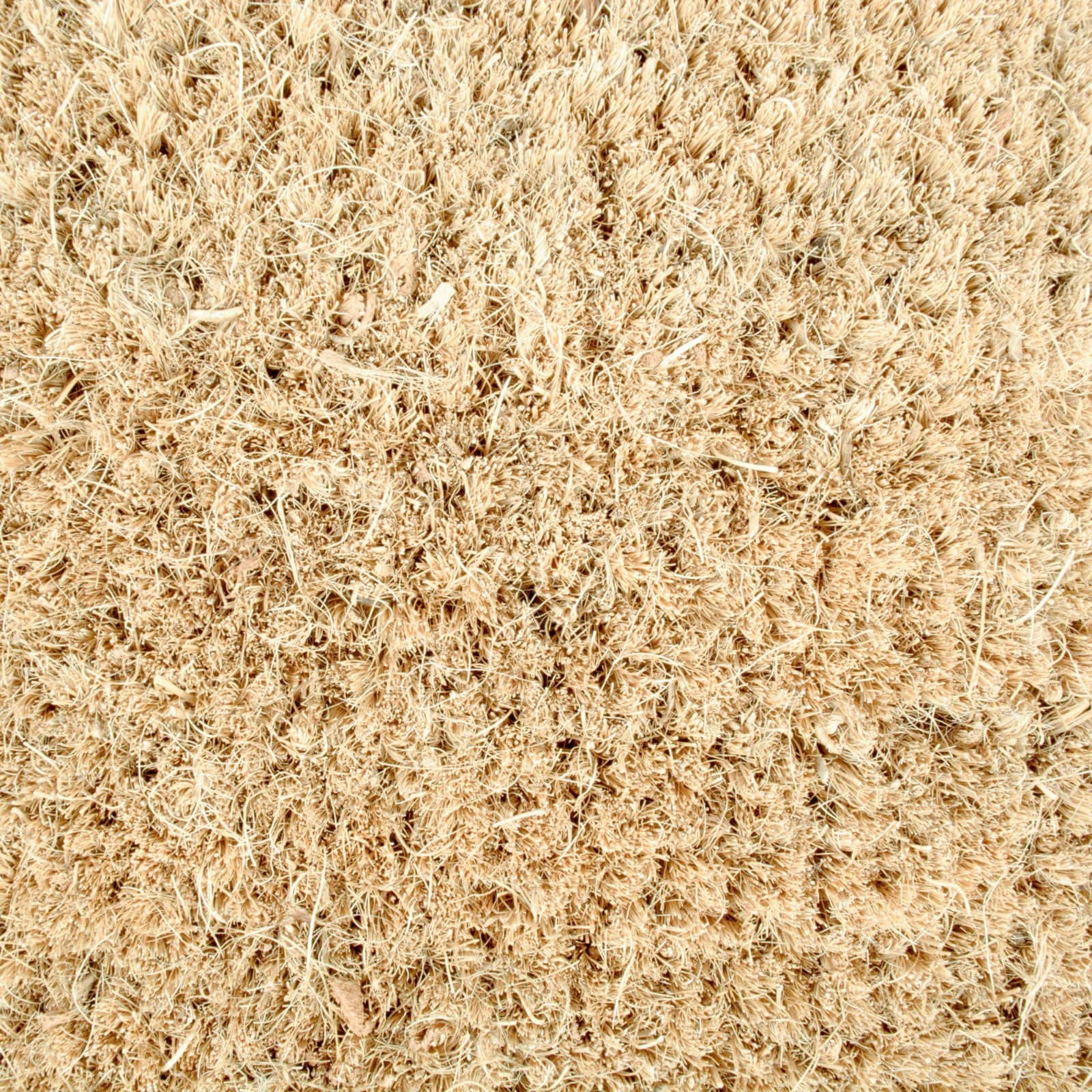 DII® Home Sweet Gnome Doormat
