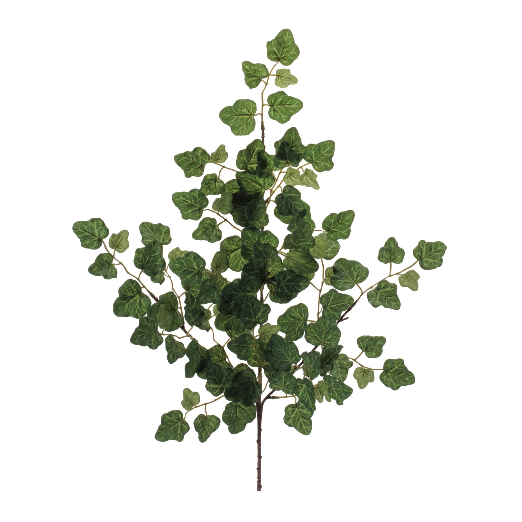24.75" Green Ivy Foliage Sprays, 6ct.