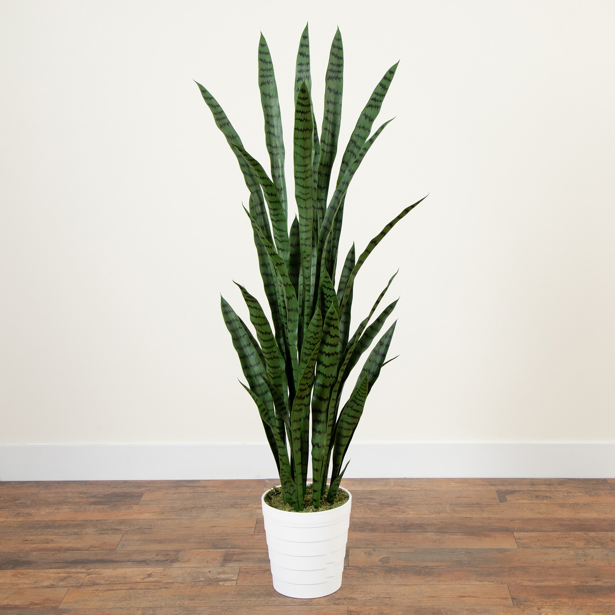 5ft. UV Resistant Artificial Snake Plant in White Decorative Planter