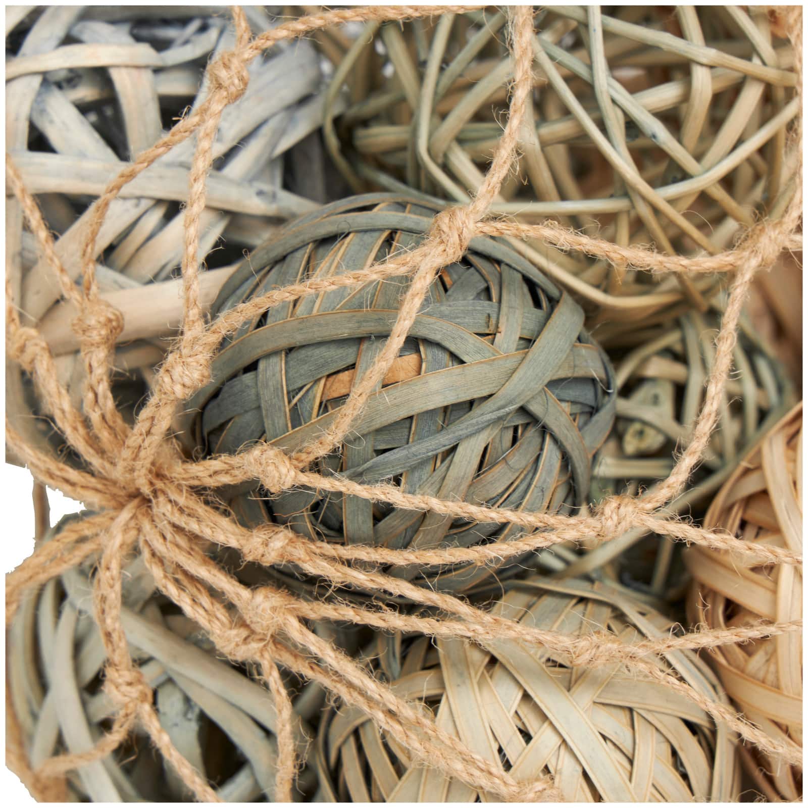 Cream Dried Plant Natural Foliage with Fishnet Bag