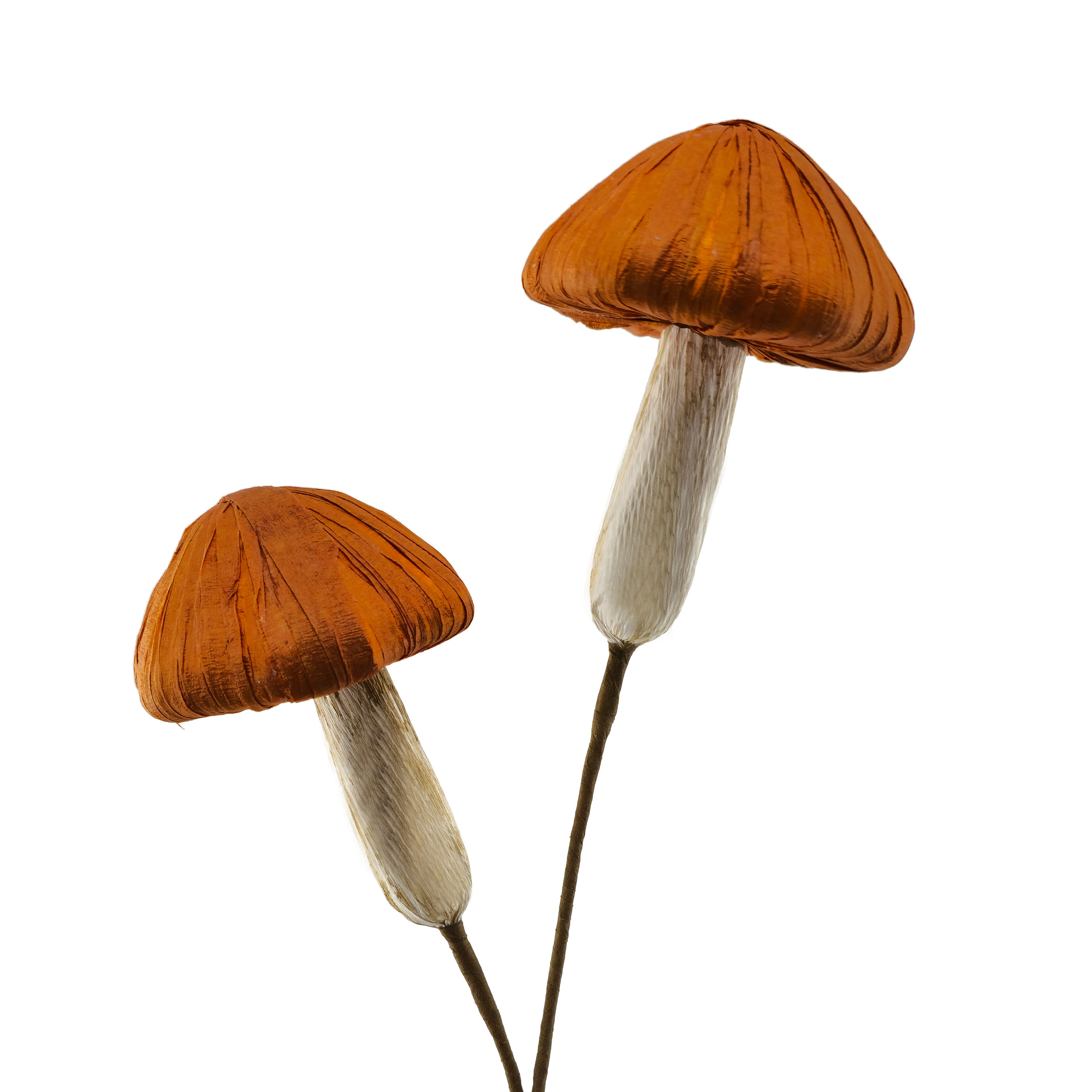 12" Mushroom Pick by Ashland®