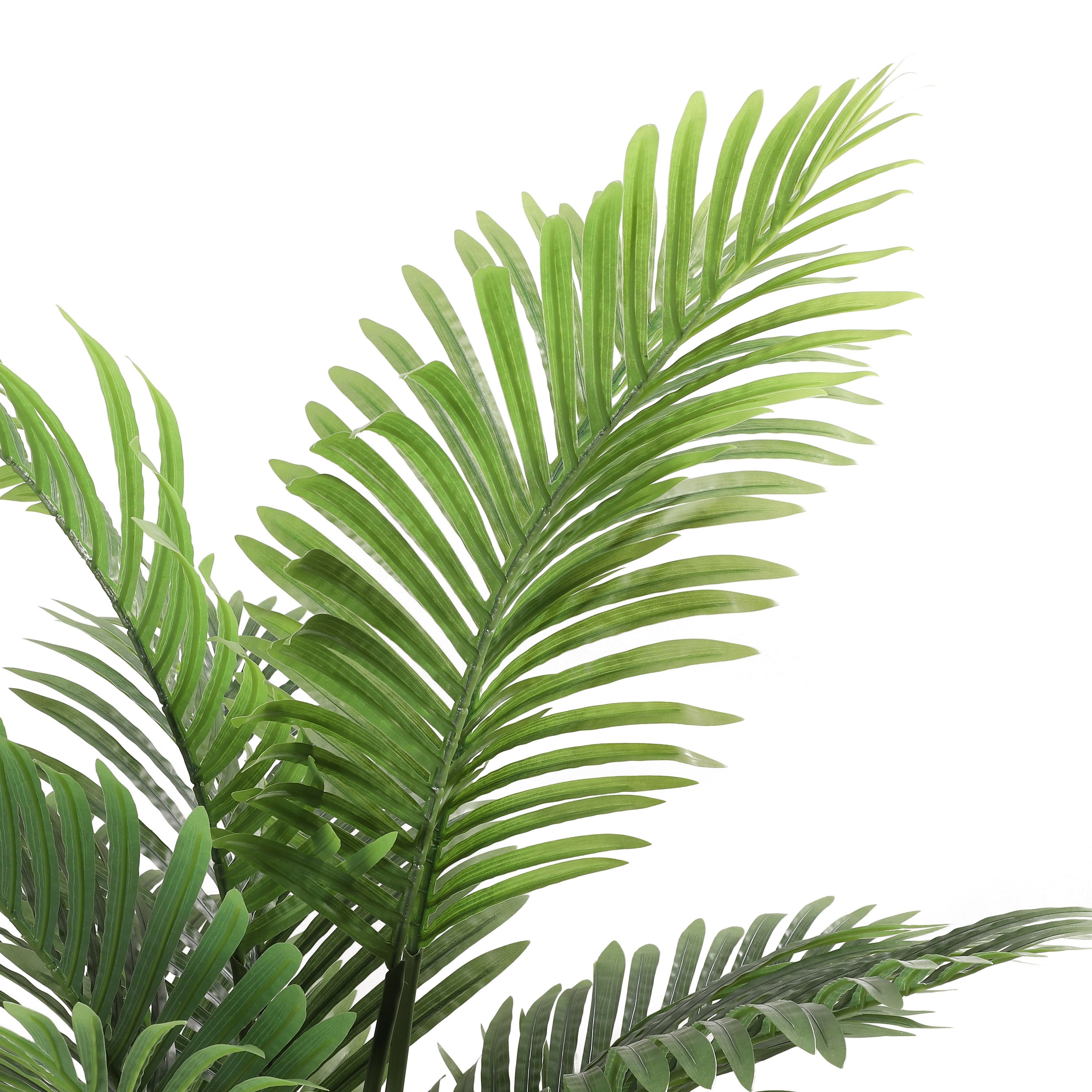 6 Pack: 4ft. Areca Palm in Black Planter