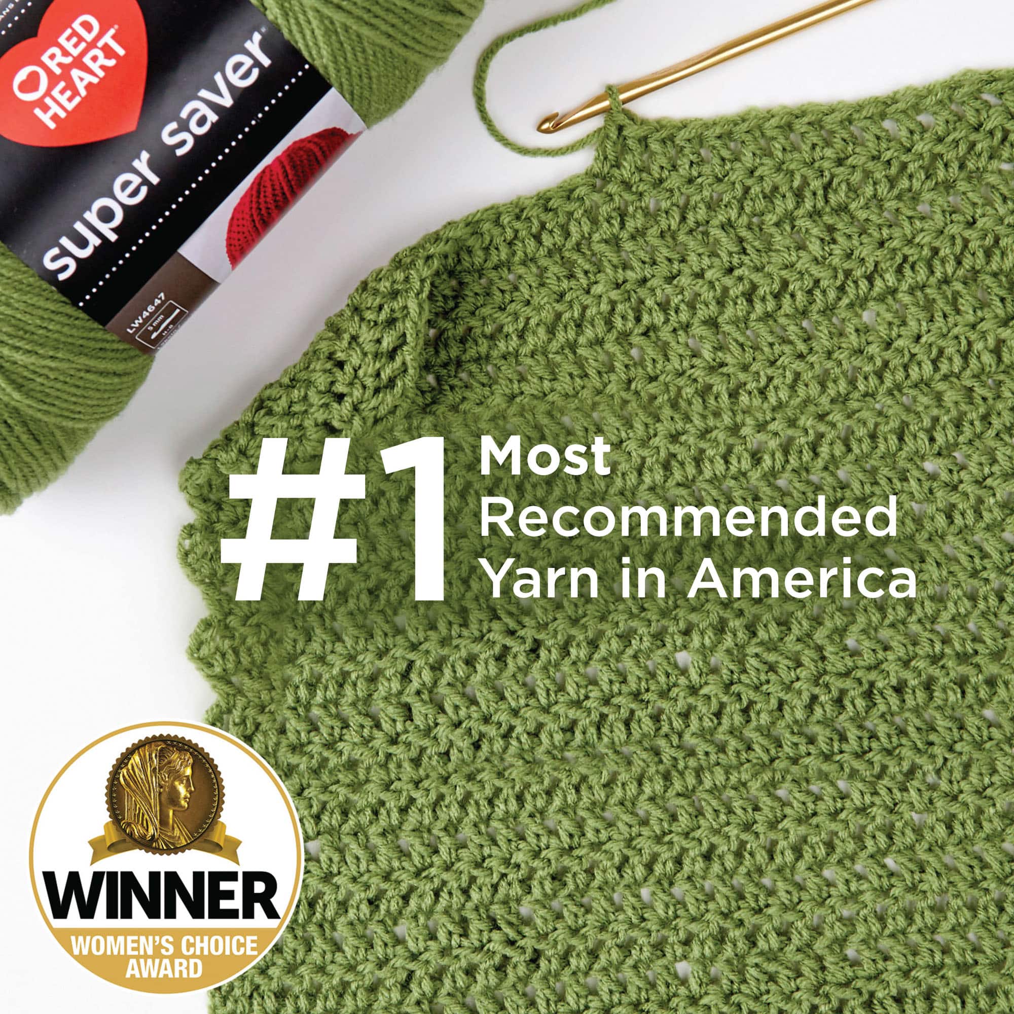 Red Heart® Super Saver® 12 Skein Super Craft Yarn Kit
