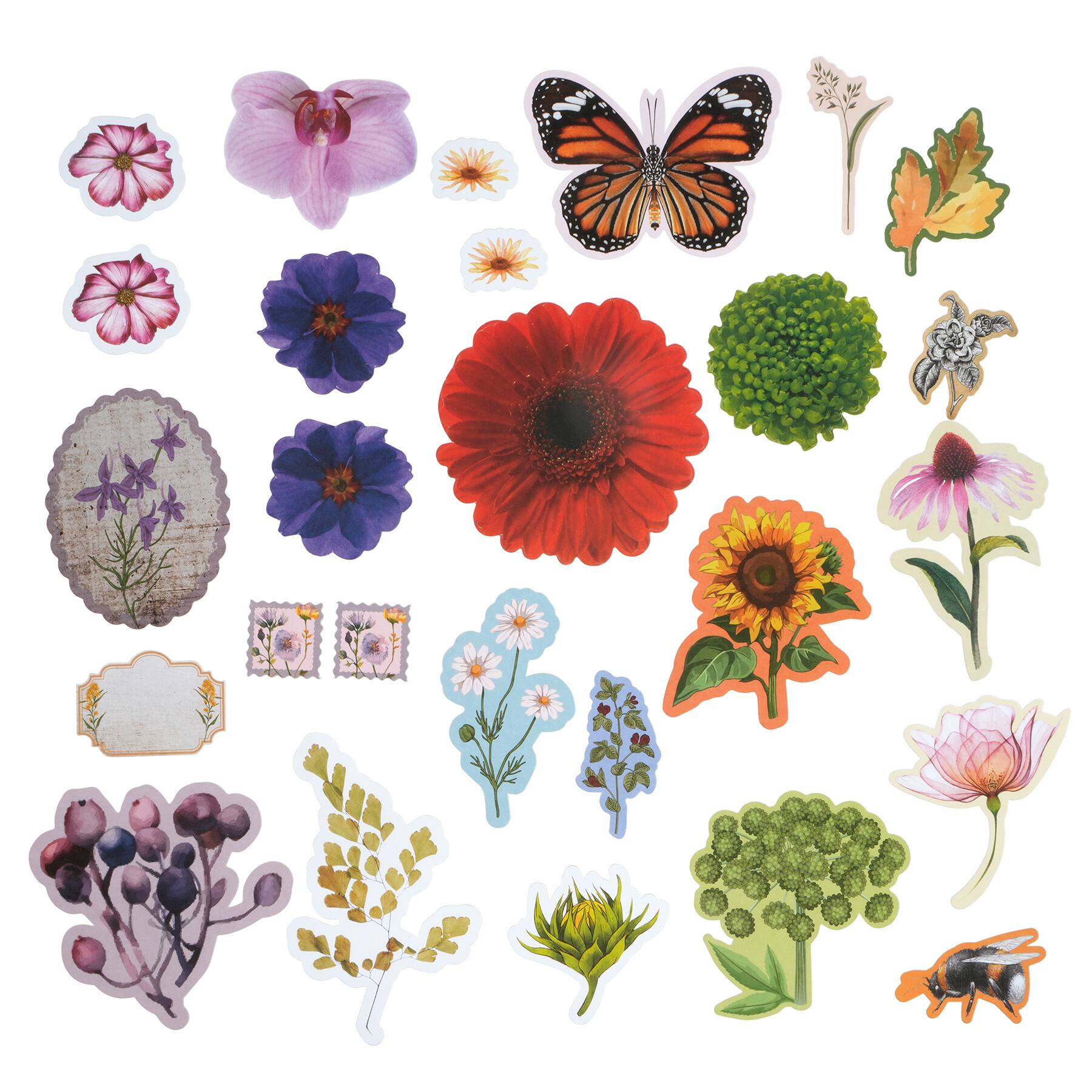 12 Pack: Flower & Plant Ephemera by Recollections™