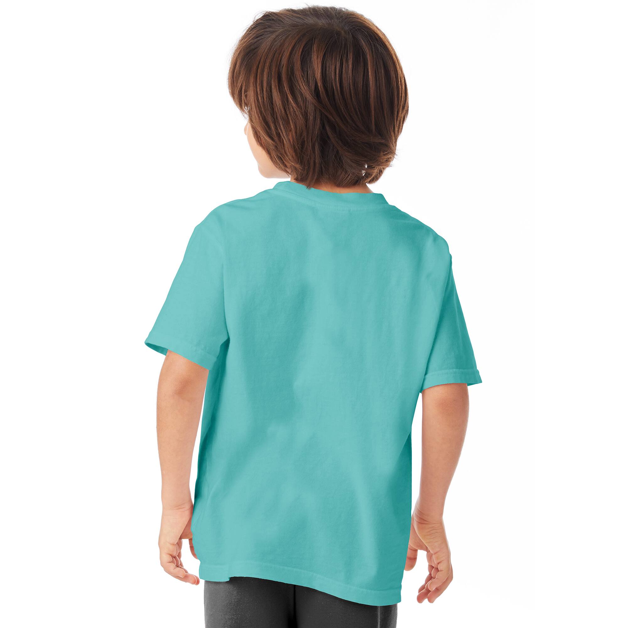 Hanes Boys X-Small Comfort Wash Garment Dyed Tee