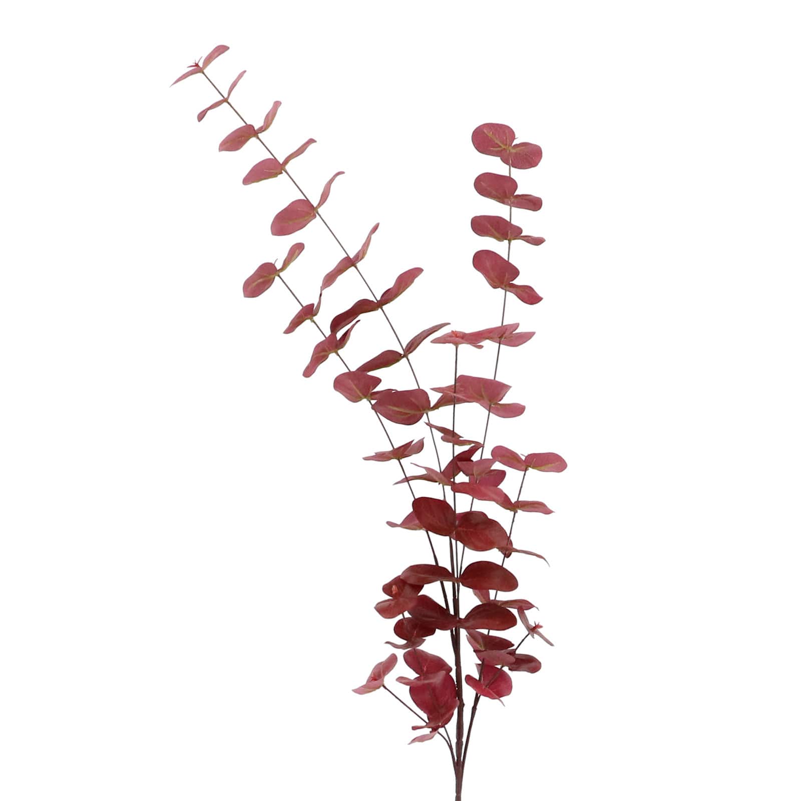 12 Pack: 46' Tall Burgundy Eucalyptus Stem by Ashland®