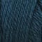 Caron® Simply Soft® Solid Yarn