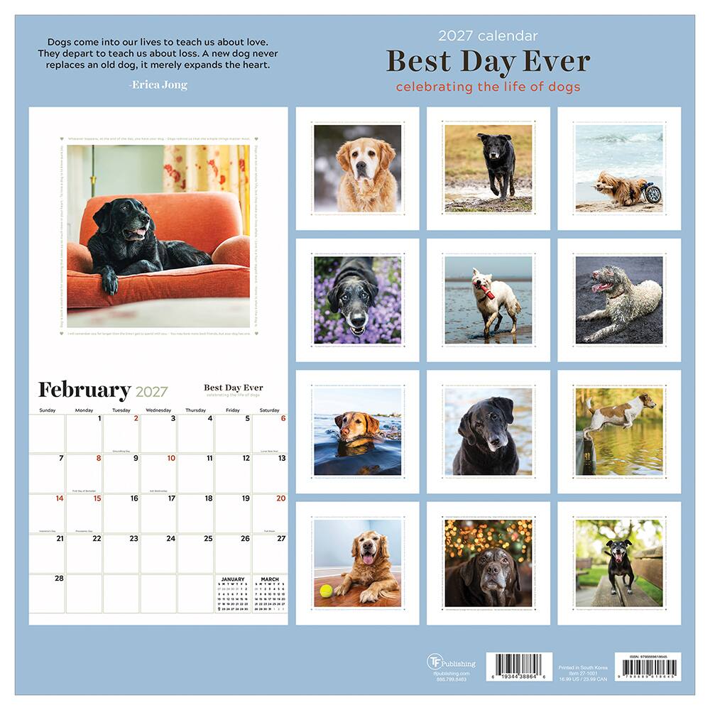 2027 Best Day Ever: Celebrating The Life of Dogs Wall Calendar