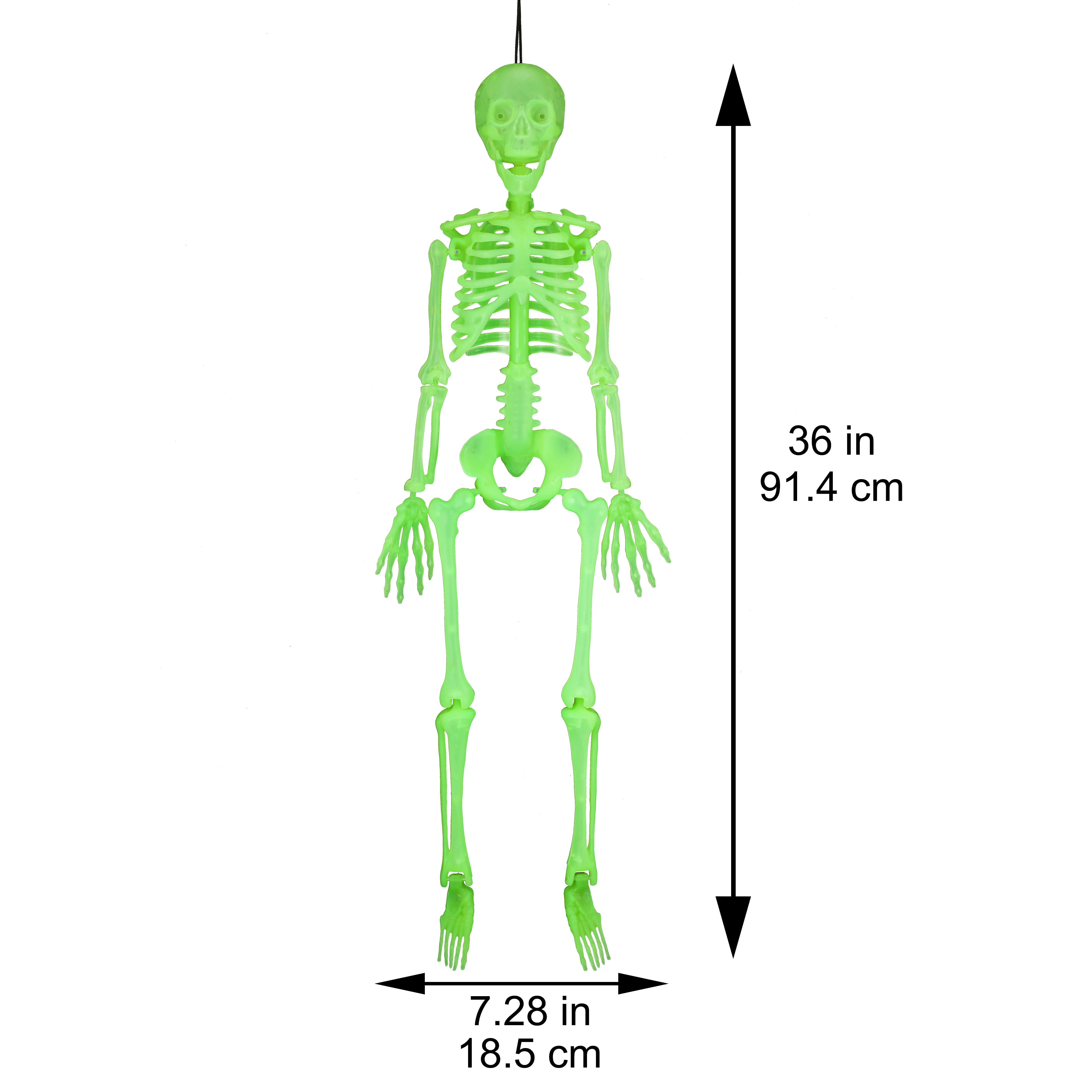 35.8" Glow-in-the-Dark Skeleton by Ashland®