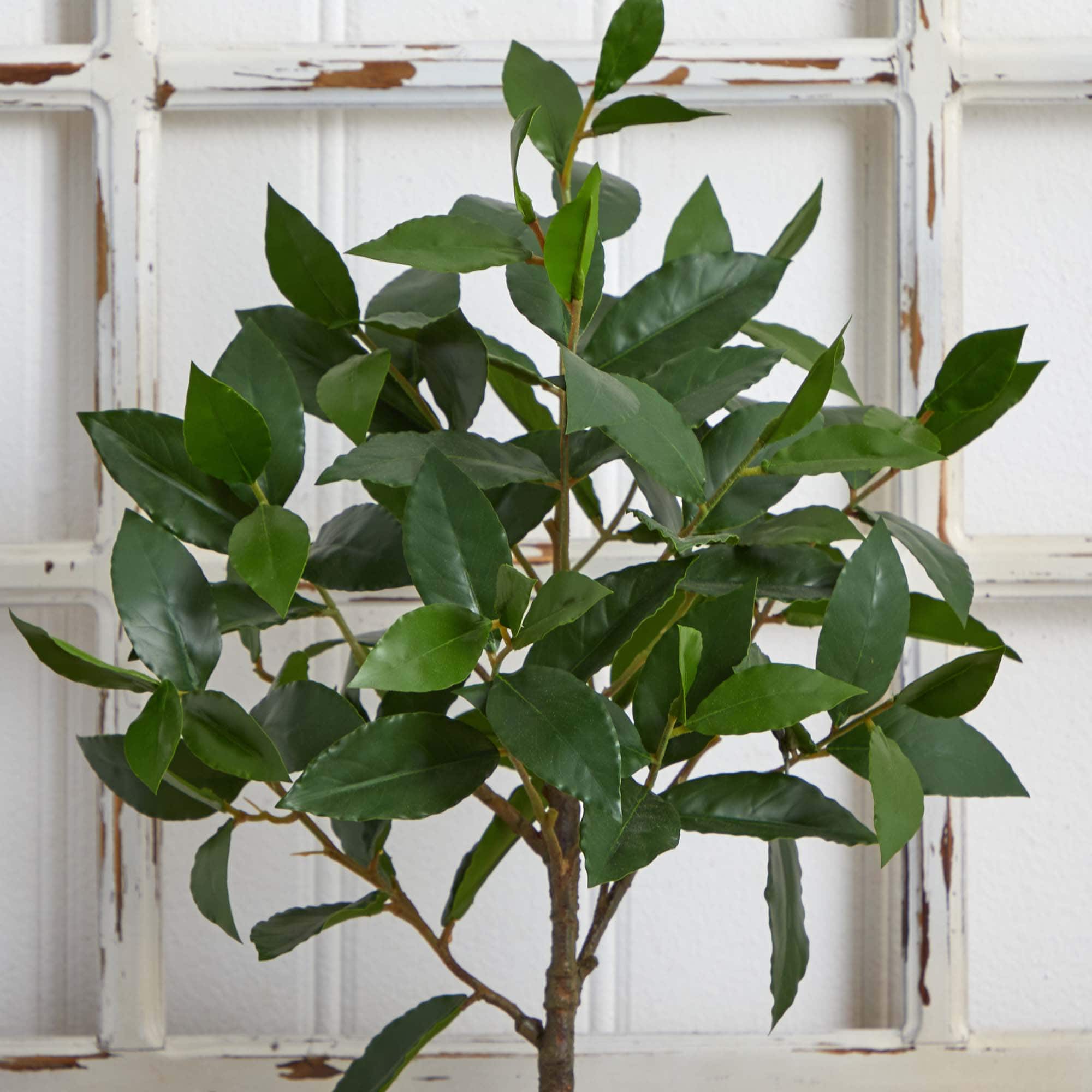2.5ft. Topiary in Decorative Planter