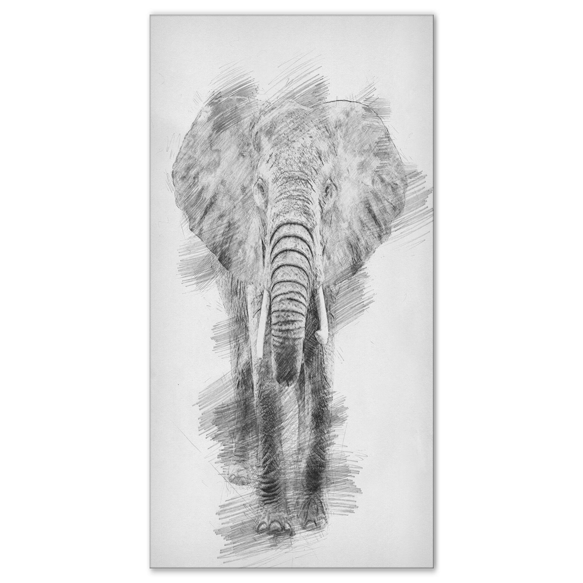 Designart - Black and White Elephant Pencil ketch
