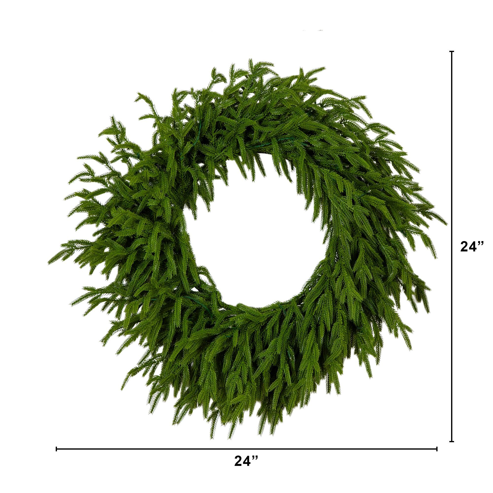 24in. Pre-Lit Artificial Real Touch Norfolk Island Pine Wreath with 50 Warm White LED Lights and Natural Look