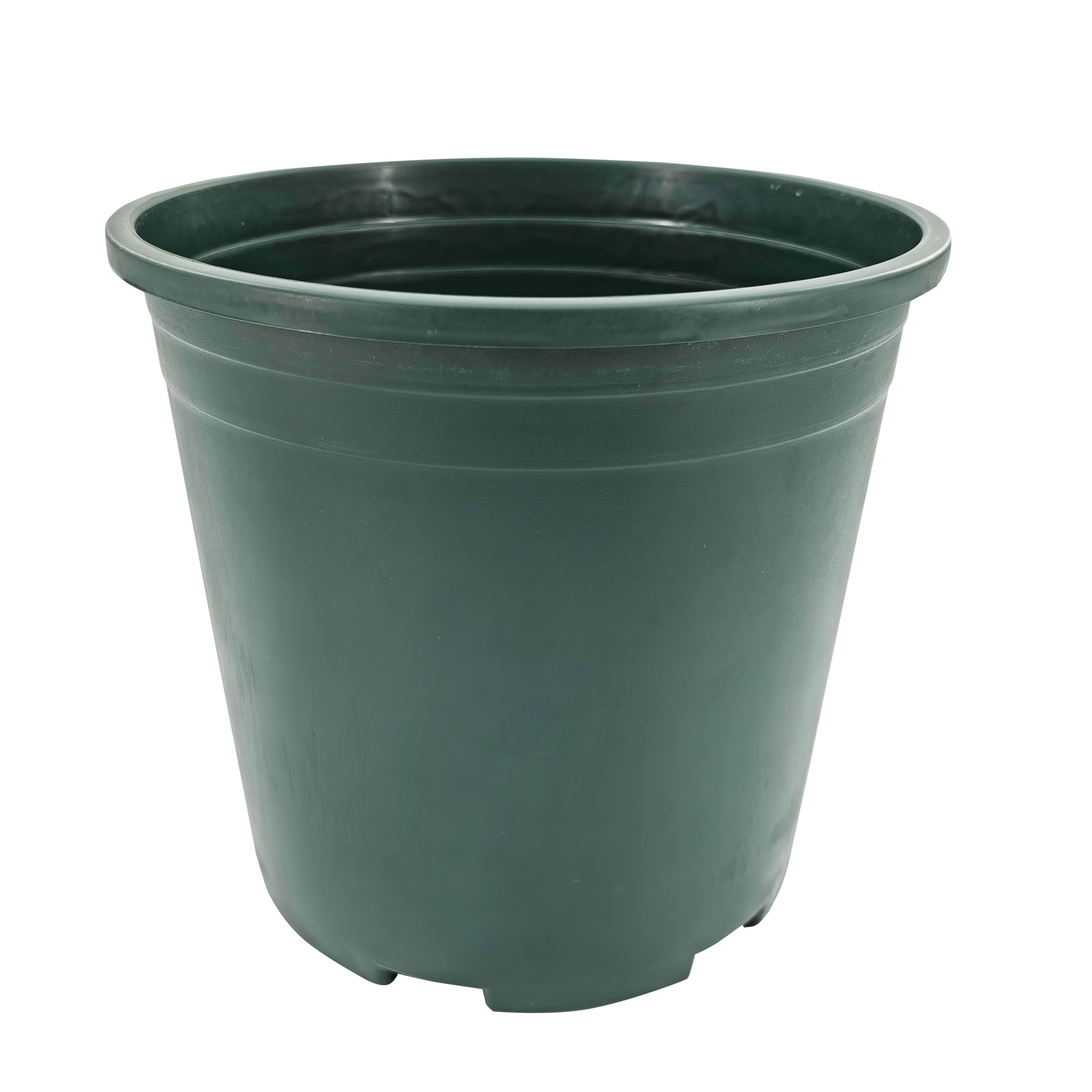 19" Pre-Lit Battery-Operated Artificial Potted Poinsettias