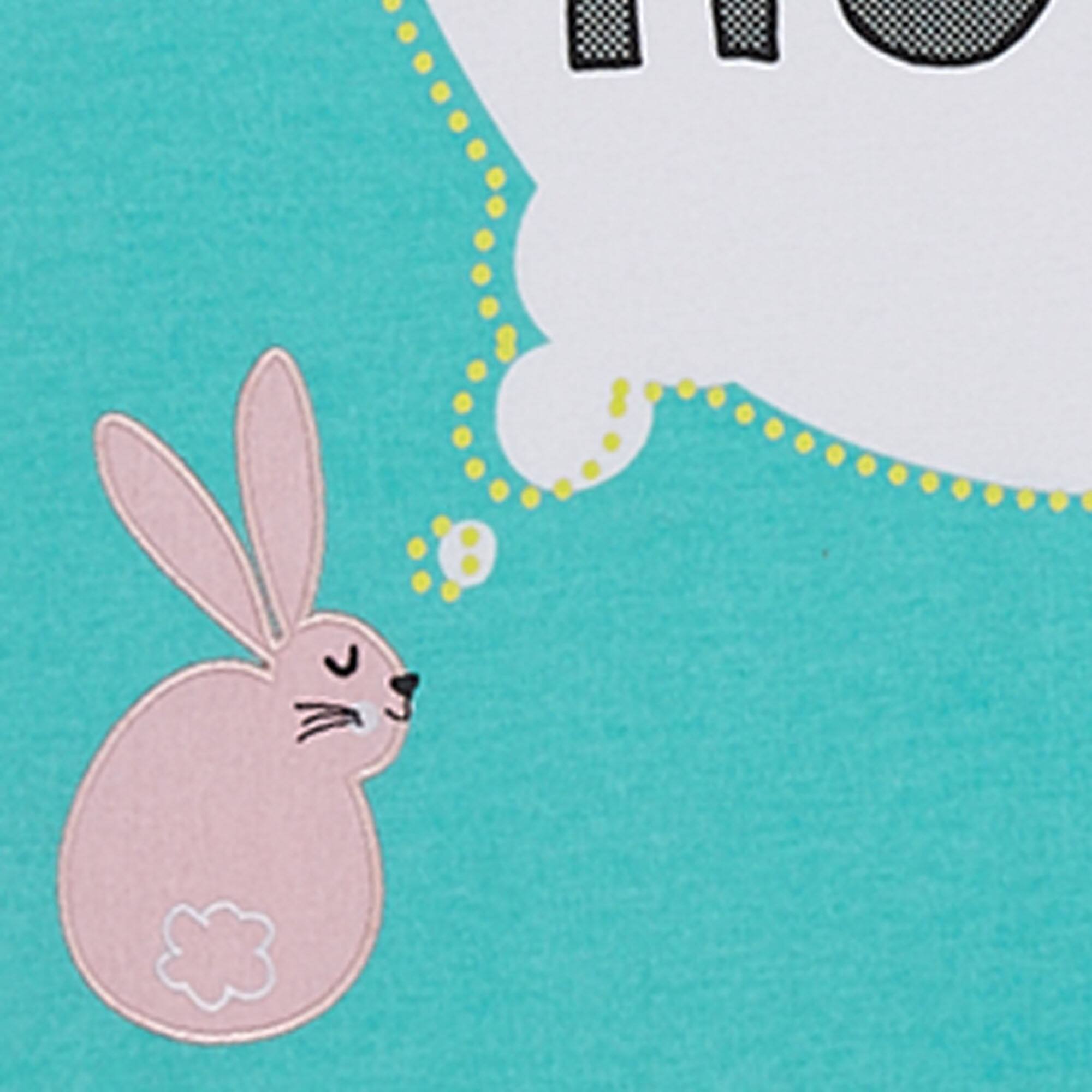DII® Easter Animals Dishtowels, 3ct.