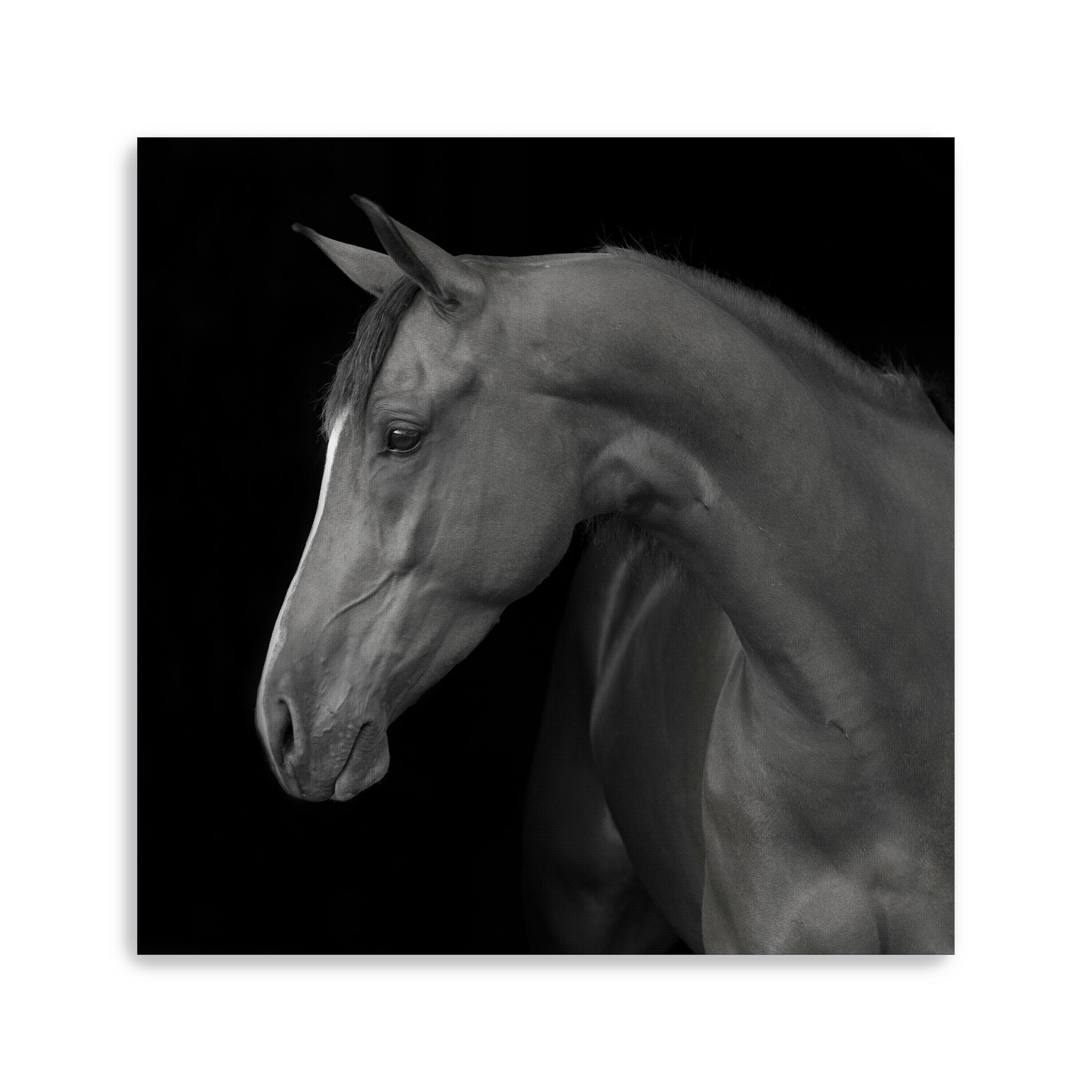 Lumaprints Jack Giclée Canvas