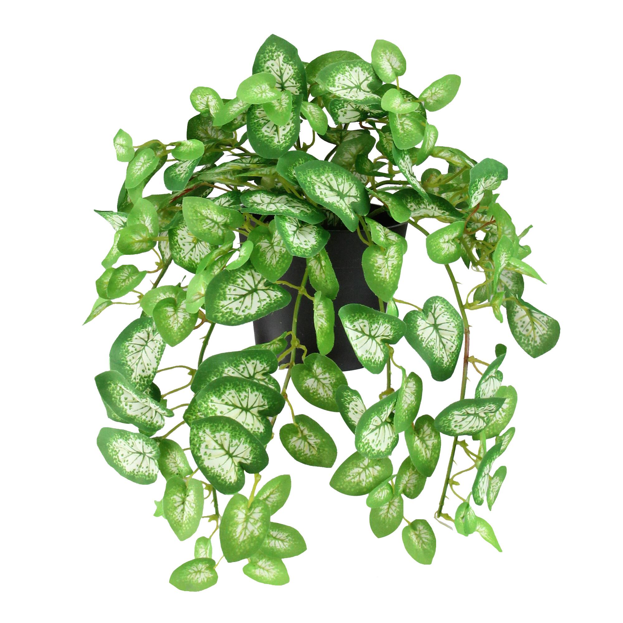 8" Decorative Kelly Green Spring Plant in Pot
