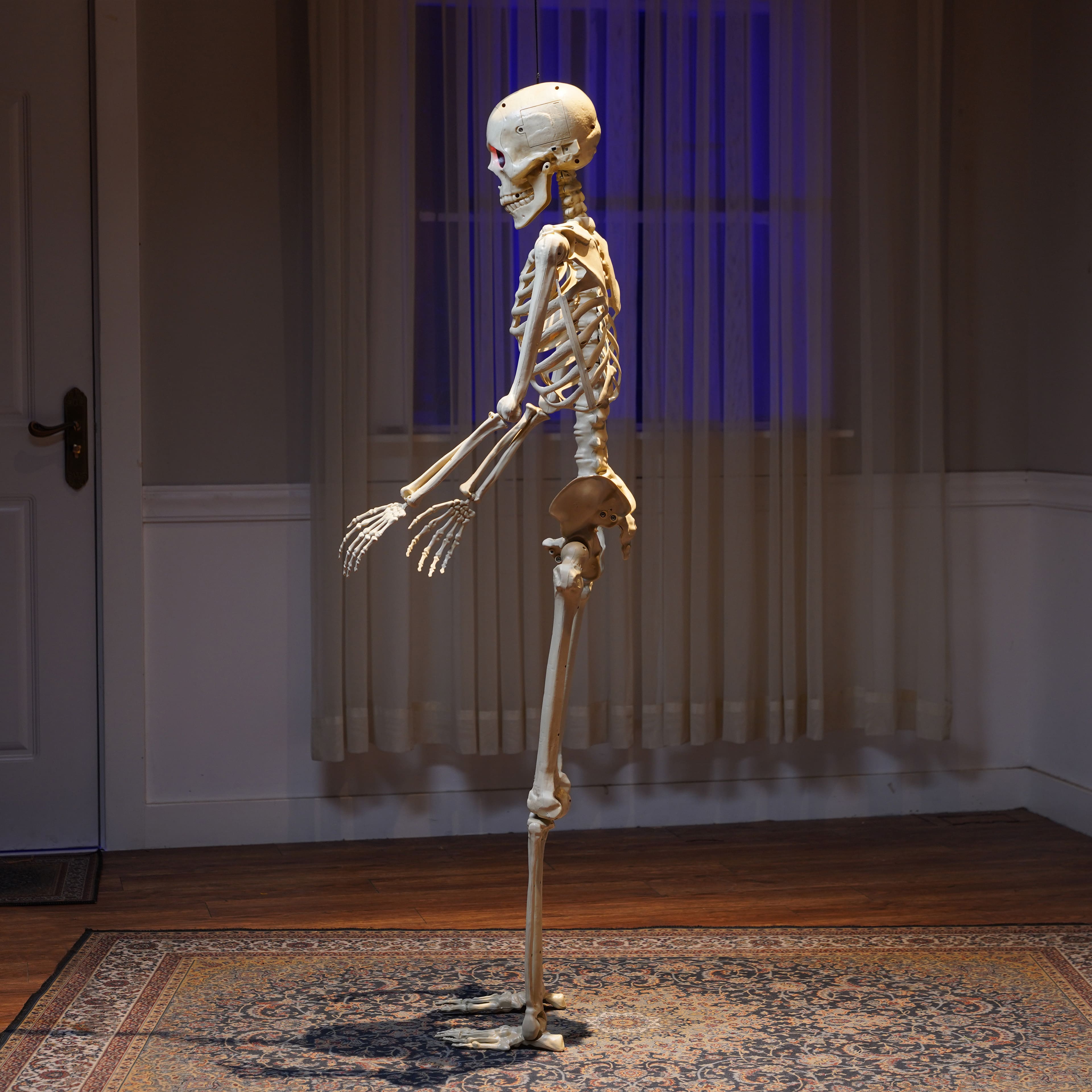 5ft. Light Up Eyes Skeleton by Ashland®